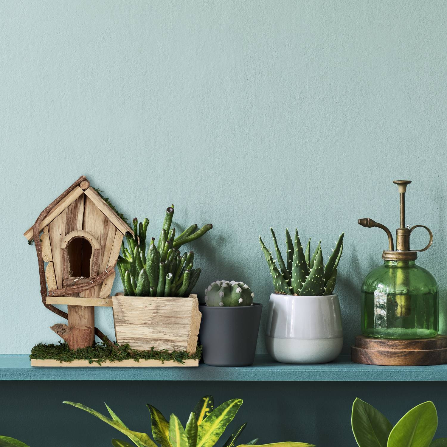 Vaso com casa para pássaros