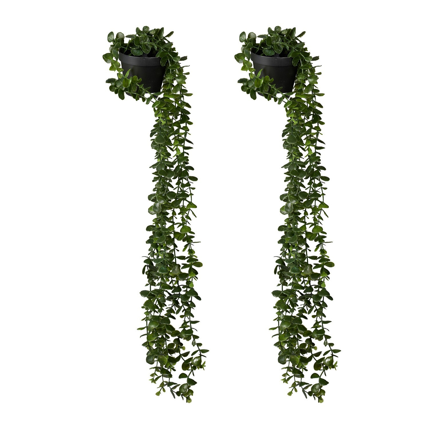 Piante artificiali di eucalipto sospese, set da 2