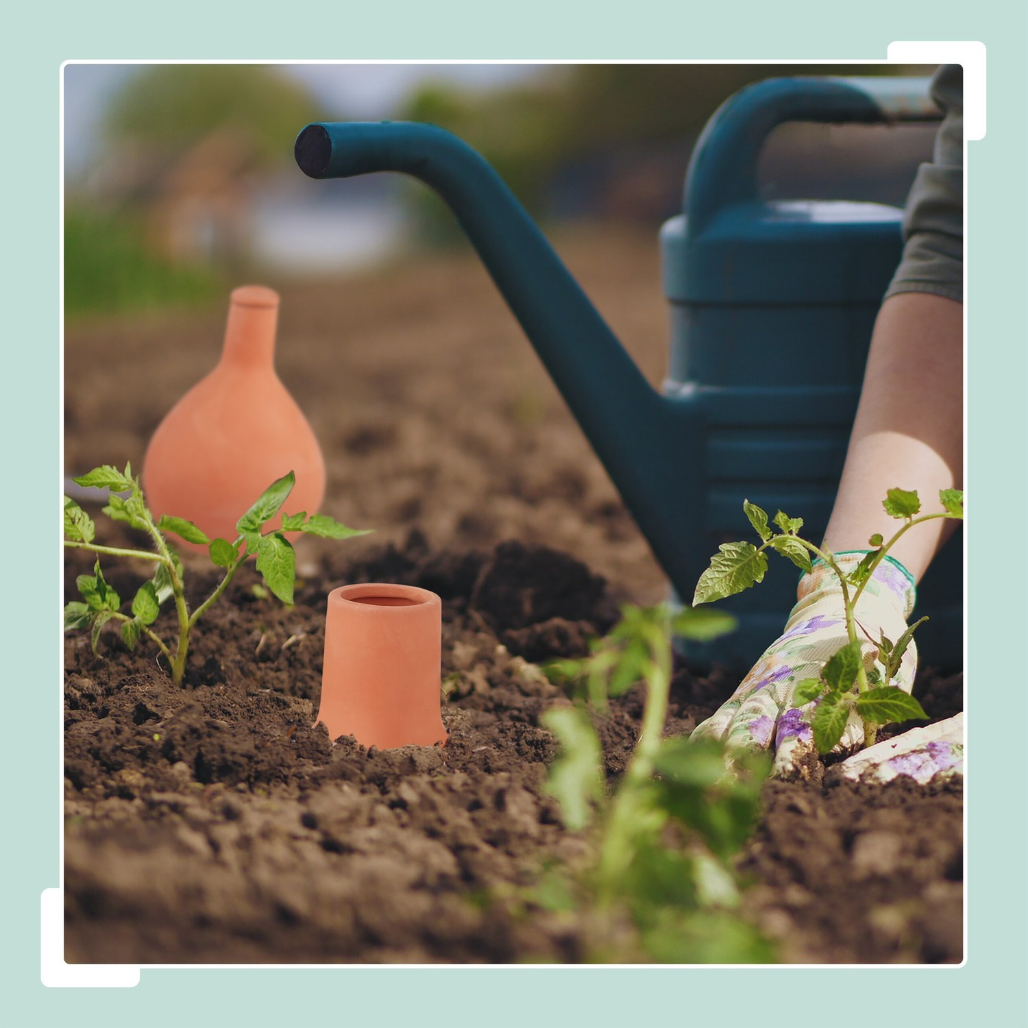 Clay Olla Irrigation Pot 3.5L – Water-Saving Solution