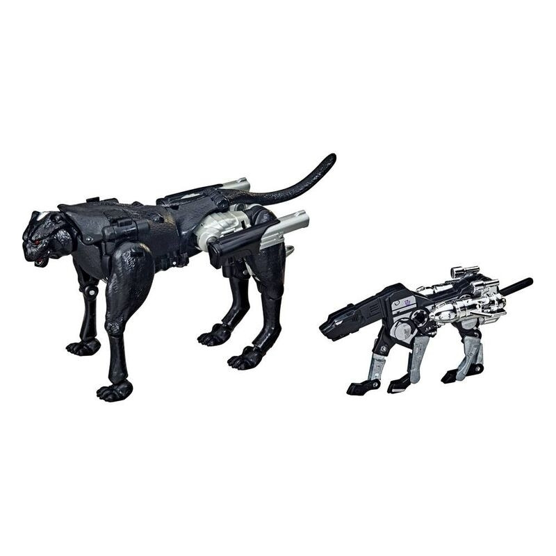 Transformers Covert Agent Ravage & Decepticon Figures Set 15cm