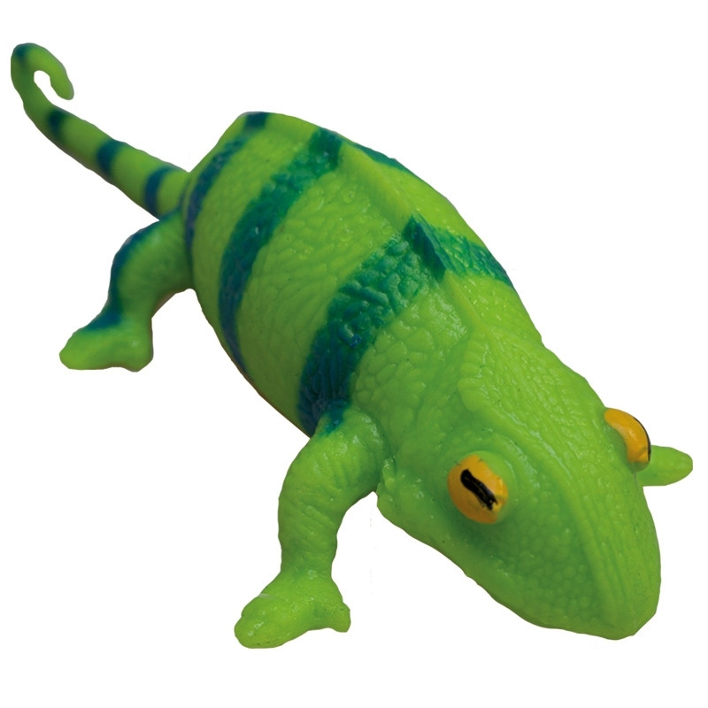 Rep Pals, Chamäleon