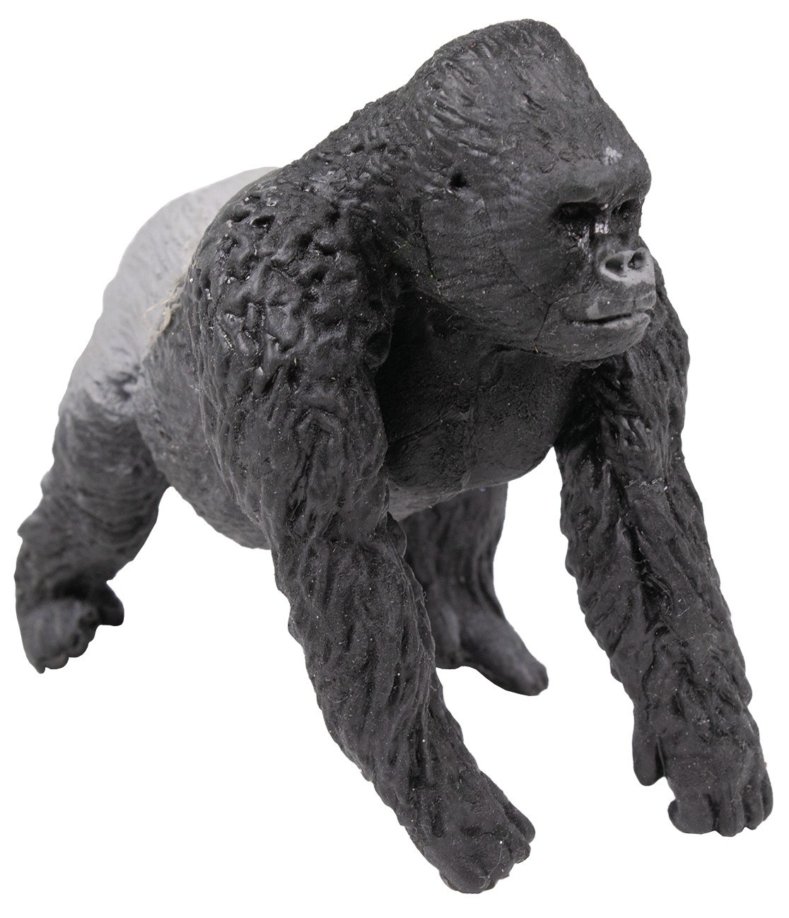 Rep. Vrienden, Gorilla