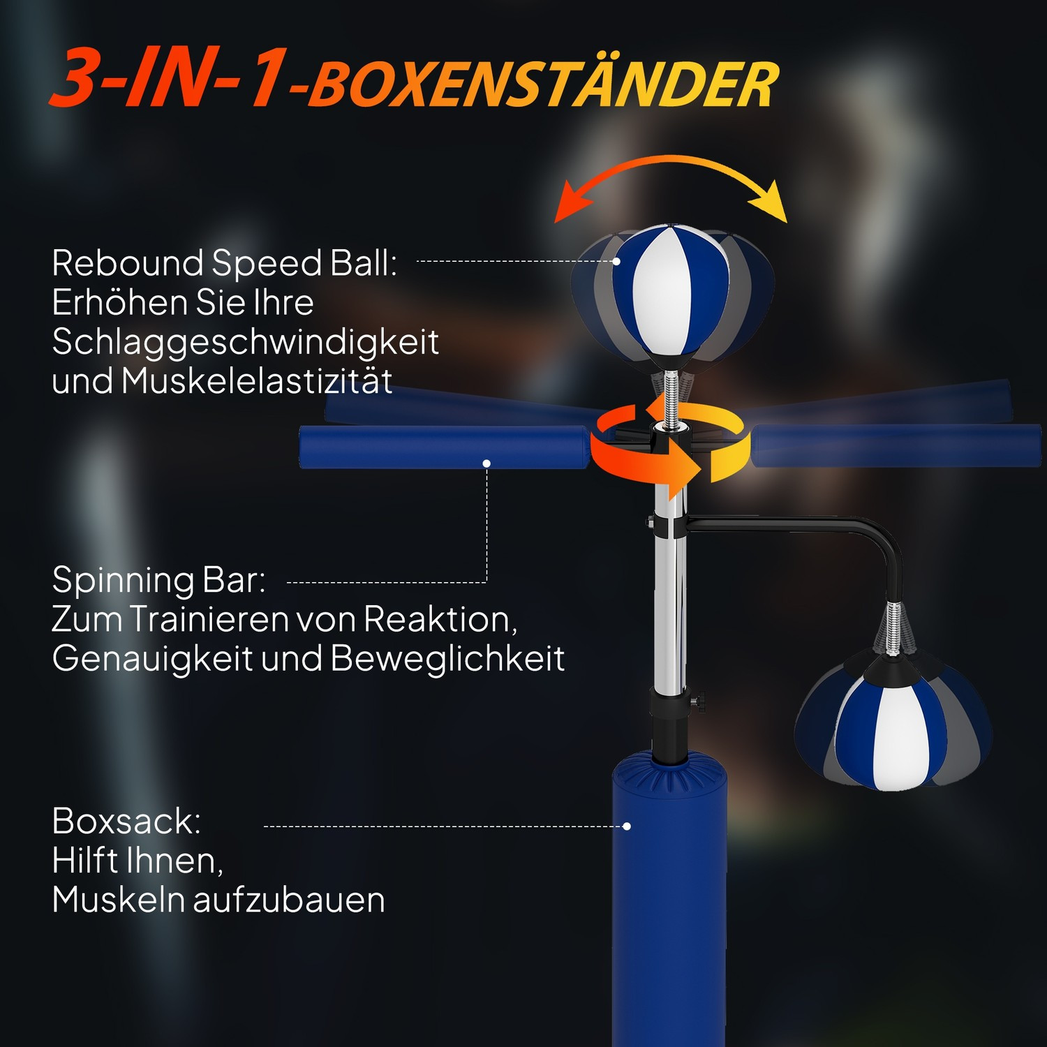 Supporto da boxe regolabile con speedball e kick pad