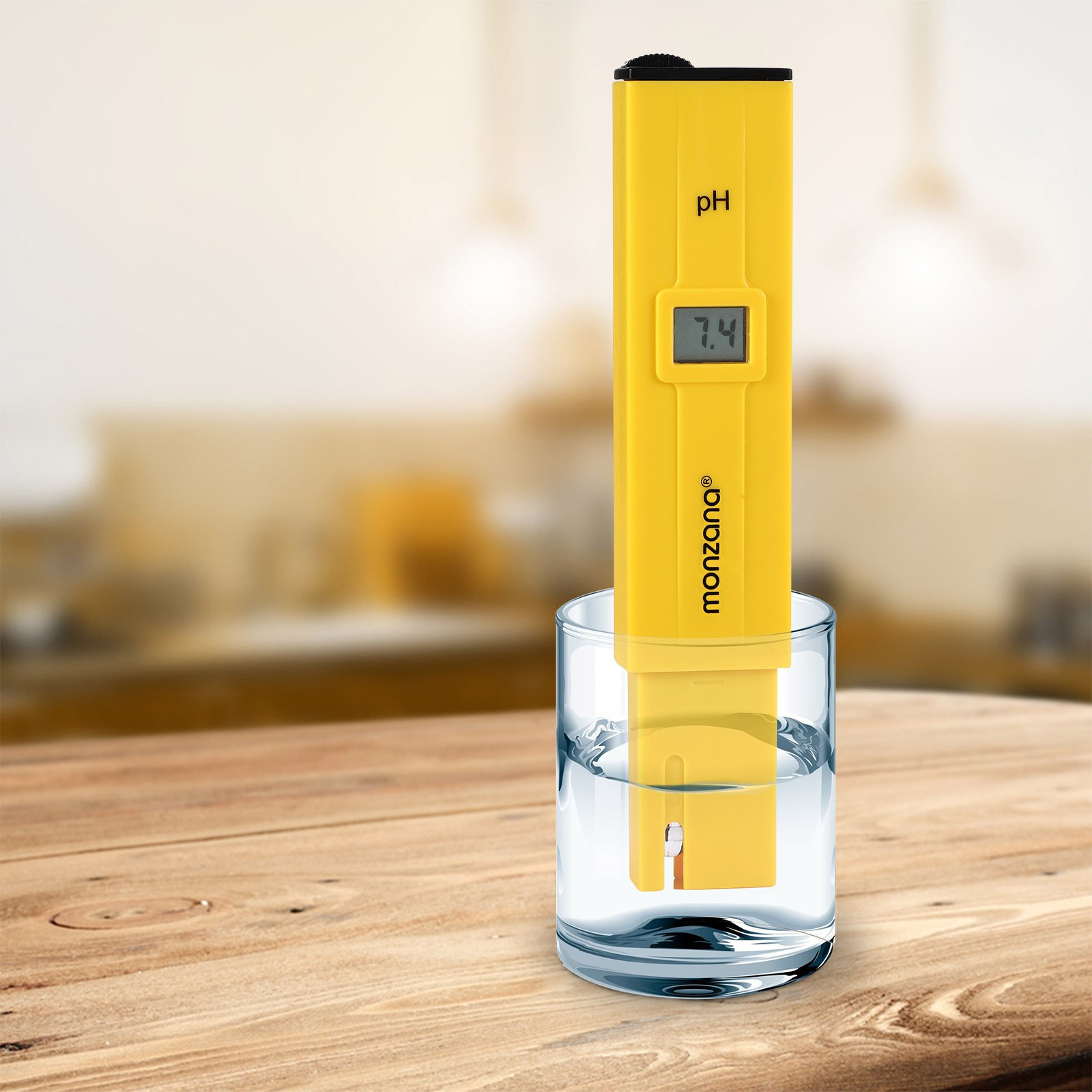 Digital PH Meter with LCD Display, Battery & Case