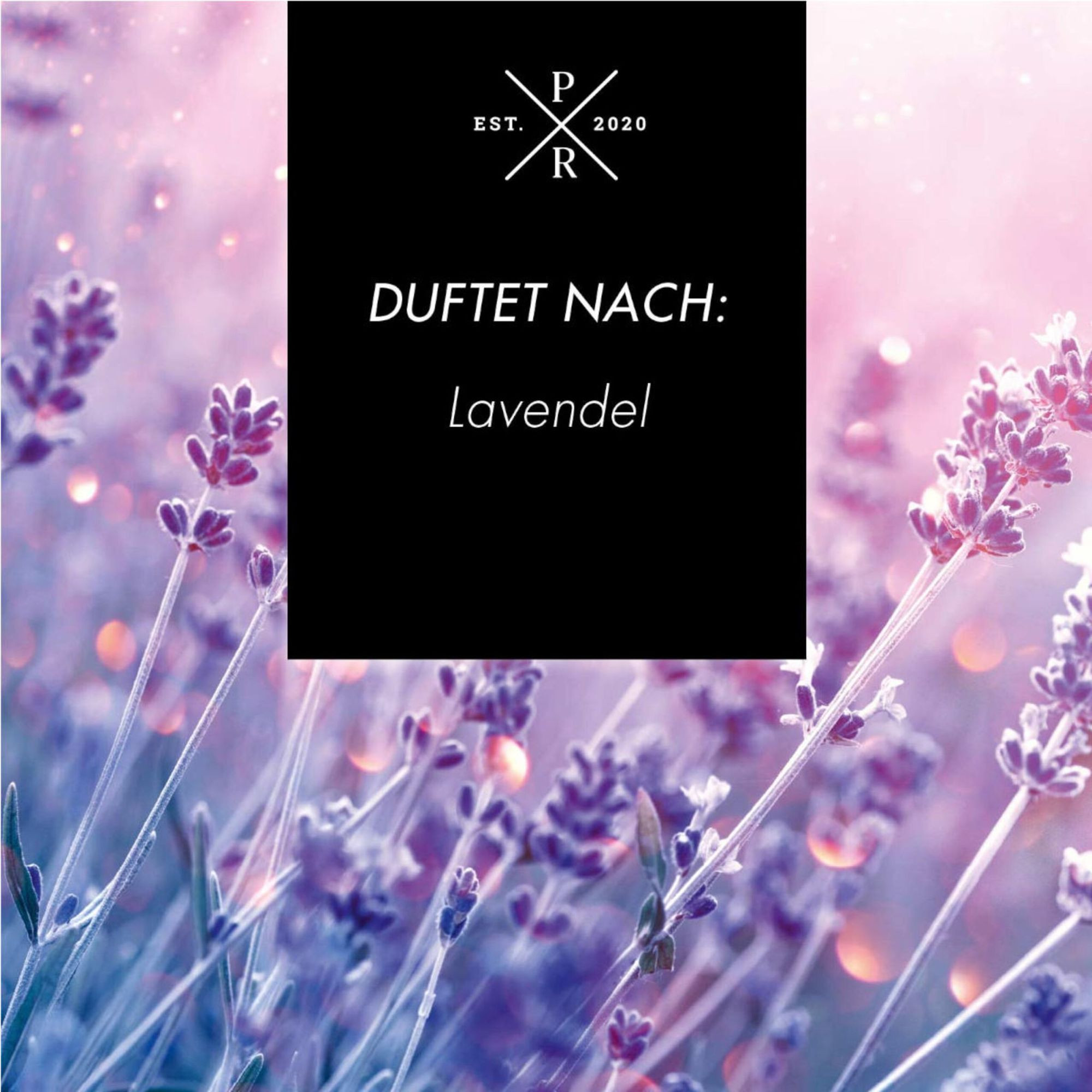 Diffuseur à bâtonnets en verre 100 ml – Parfum longue durée