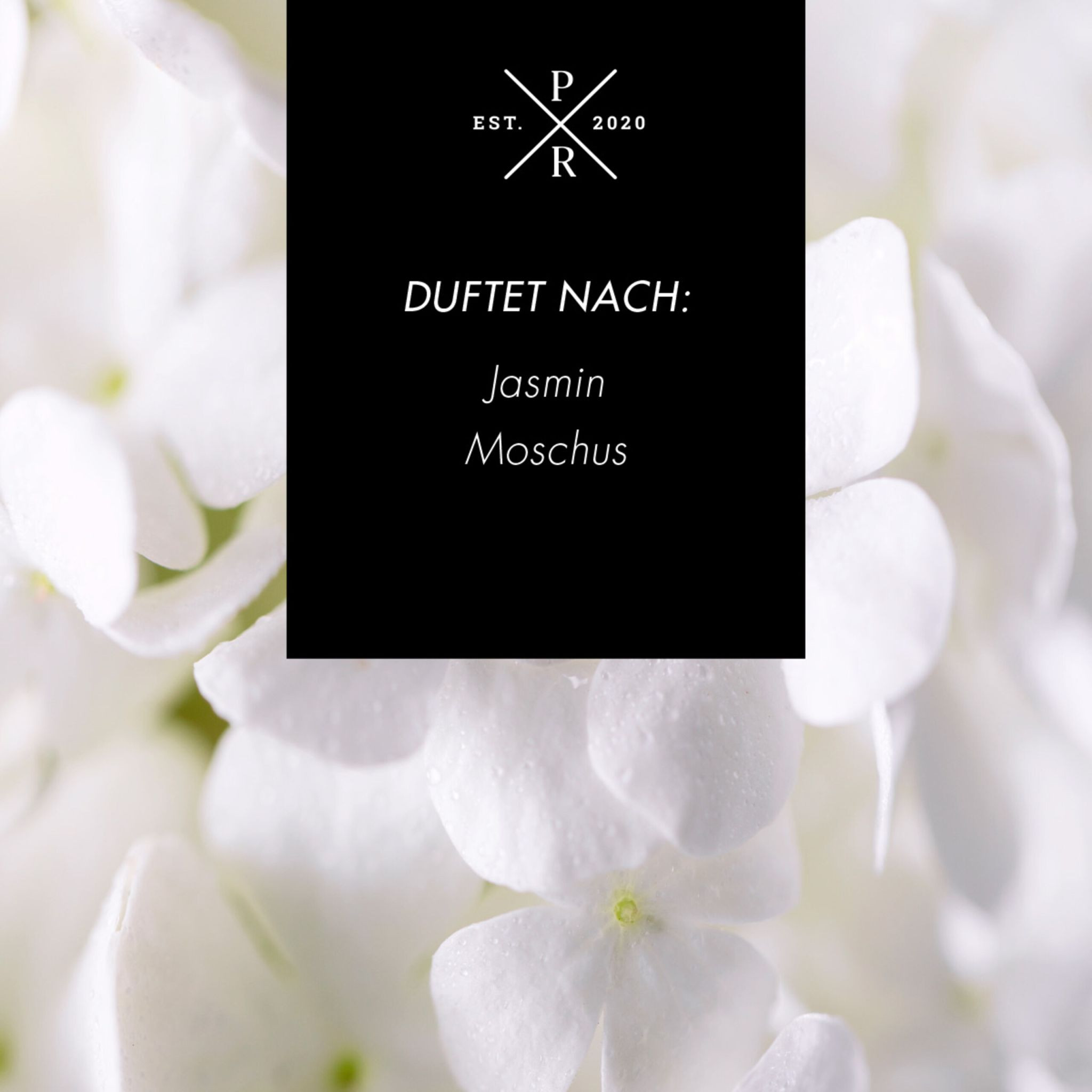 Diffuseur à bâtonnets en verre 100 ml – Parfum longue durée