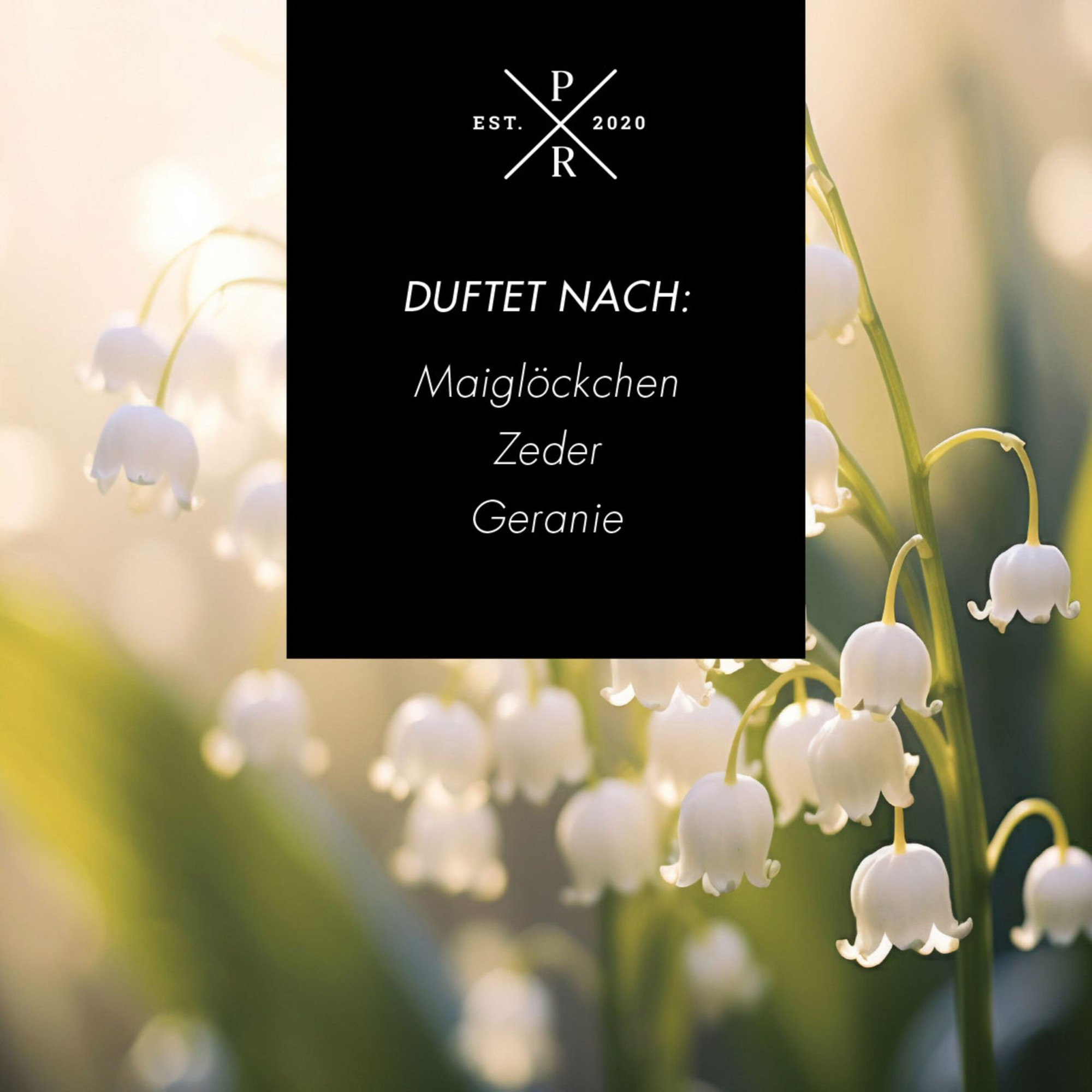 Raumduft-Diffusor 100ml – Langanhaltender Duft