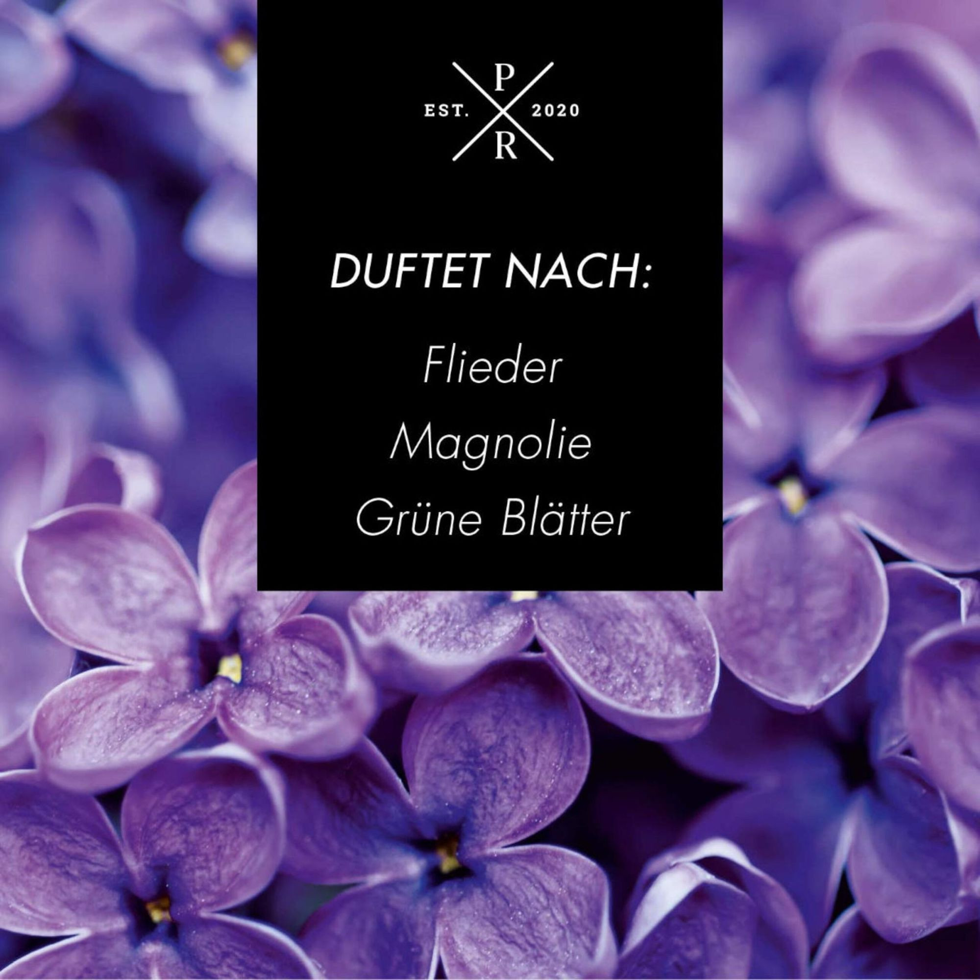 Raumduft-Diffusor 100ml – Langanhaltender Raumduft