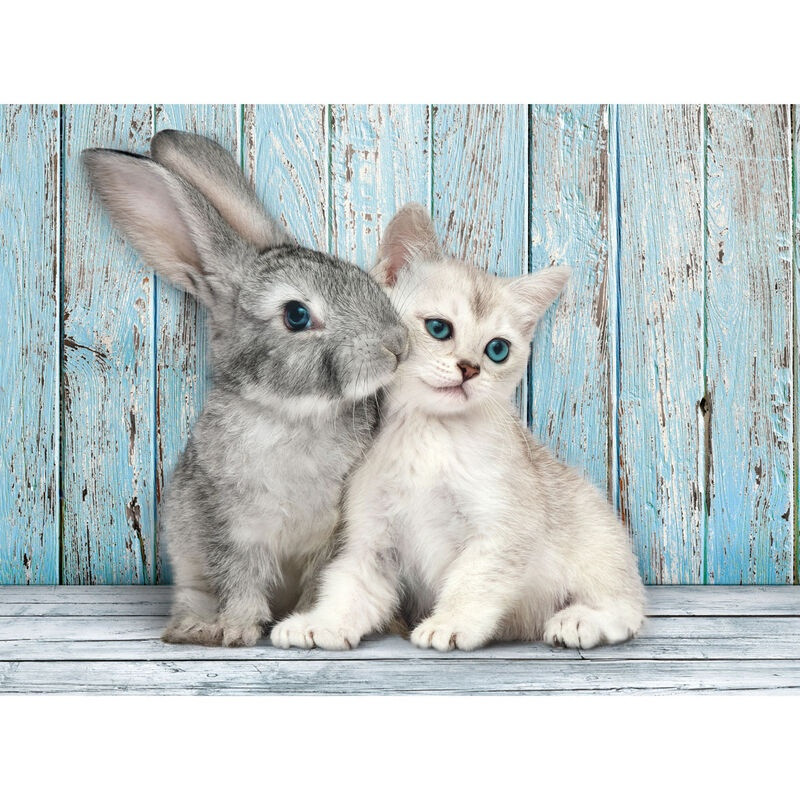 Puzzle Gatto e Coniglio 500 pezzi