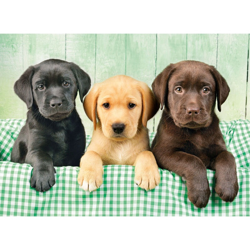 Puzzle Three Labs 1000 elementów