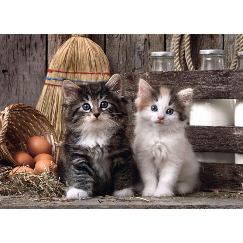 Puzzle Lovely Kittens 1000 pezzi