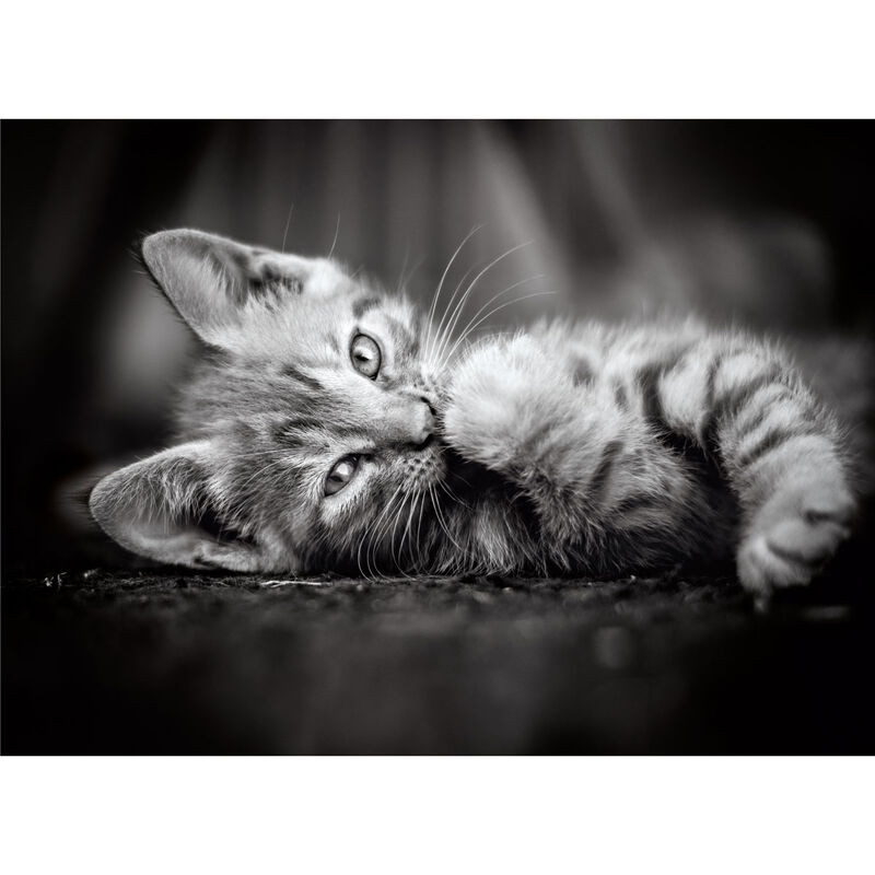 Kitty puzzel 1000 stuks