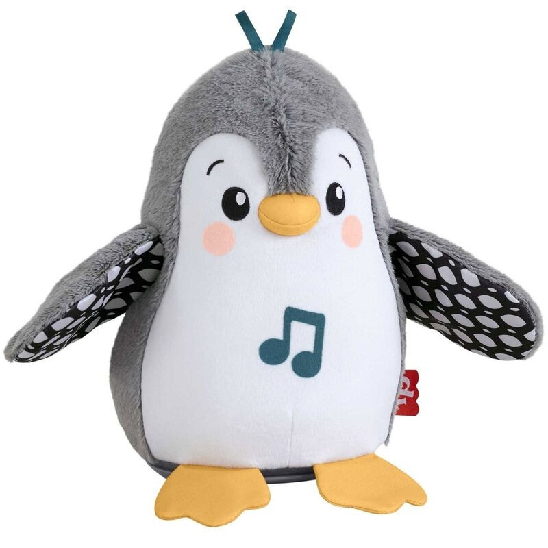 Pinguim andando e batendo as asas