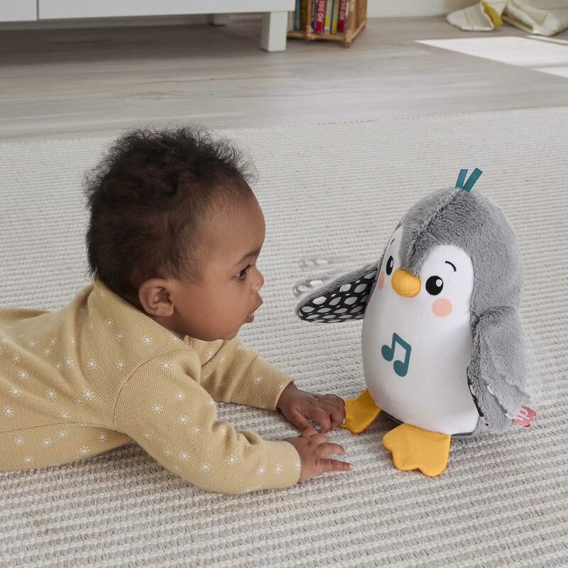 Pinguim andando e batendo as asas