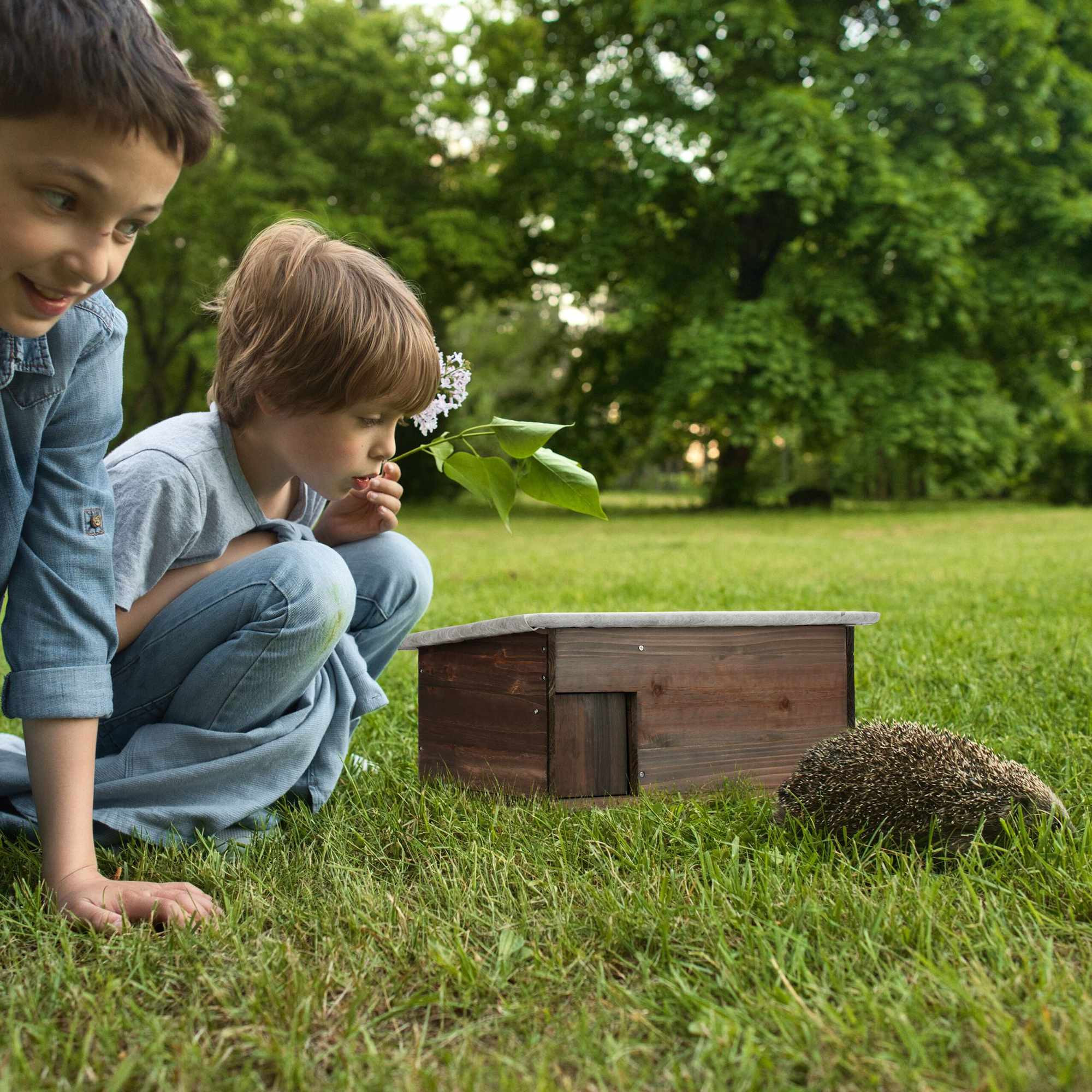 Groot houten egelhuis