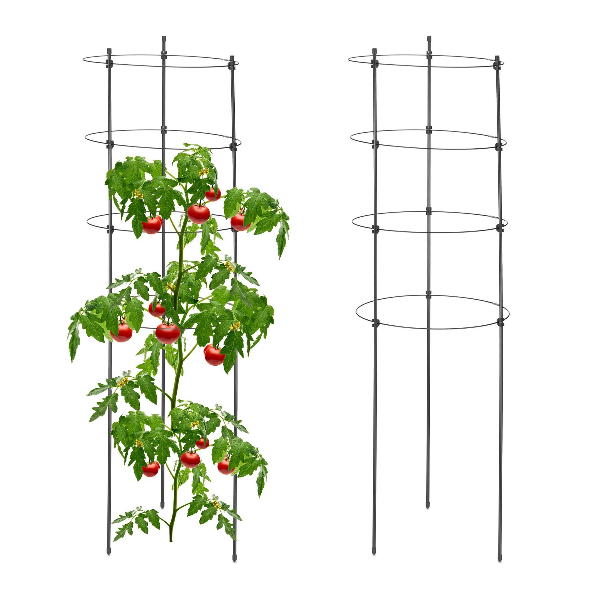 2x supporti per piante con anelli, 90 cm