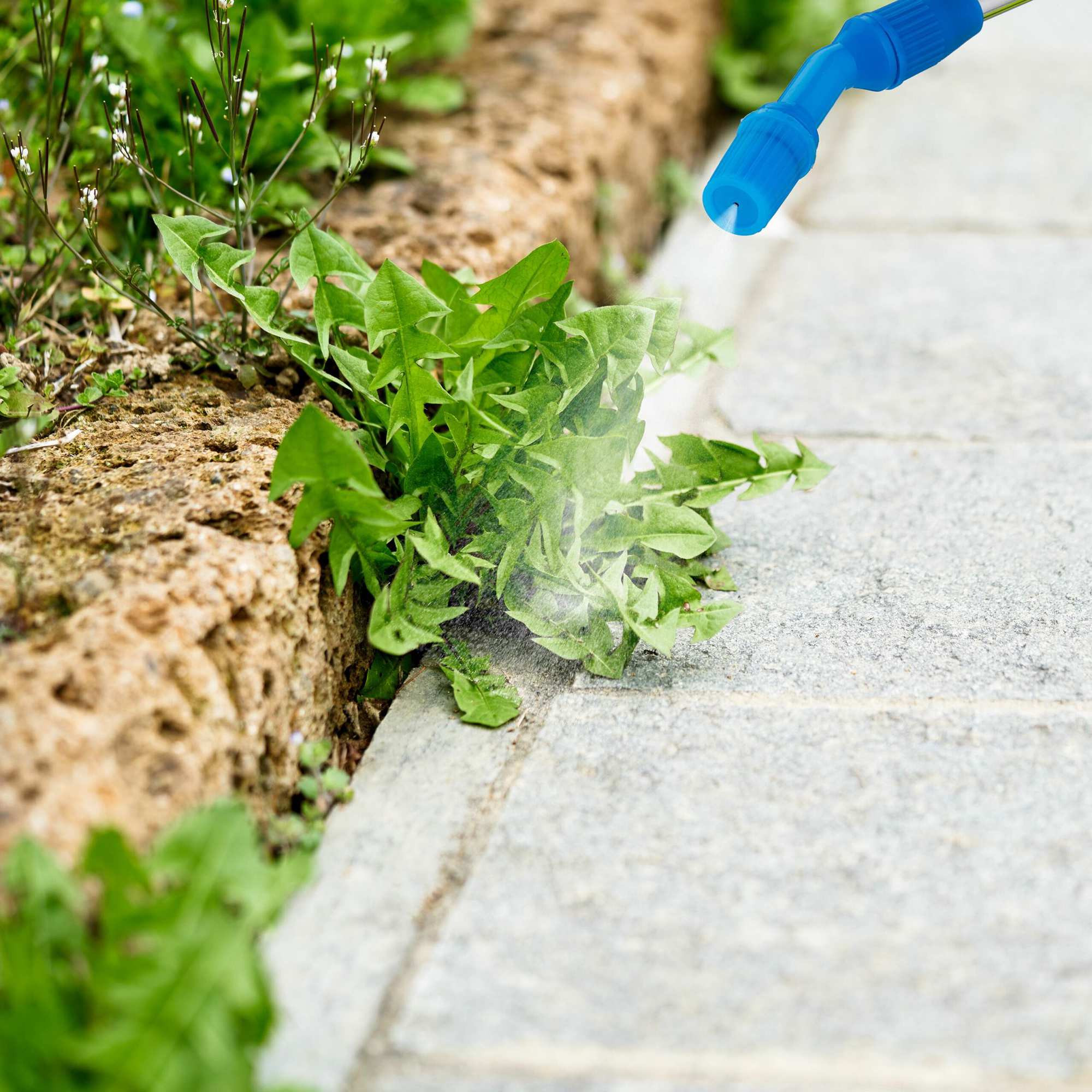 Drukspuitfles 10 L