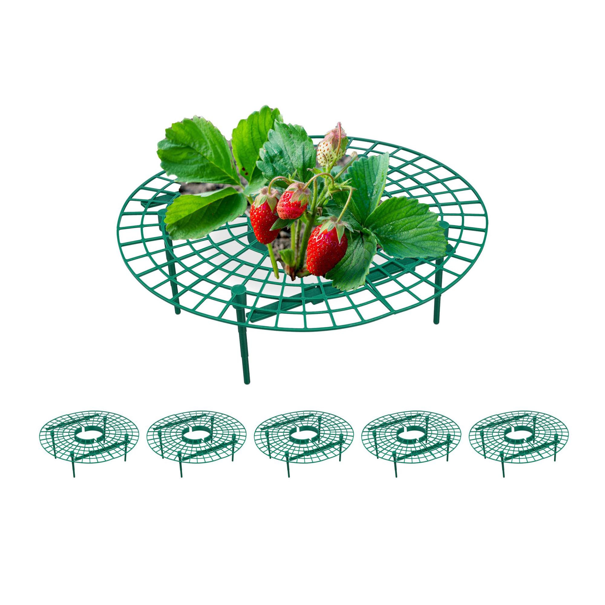 6x Supporti per fragole
