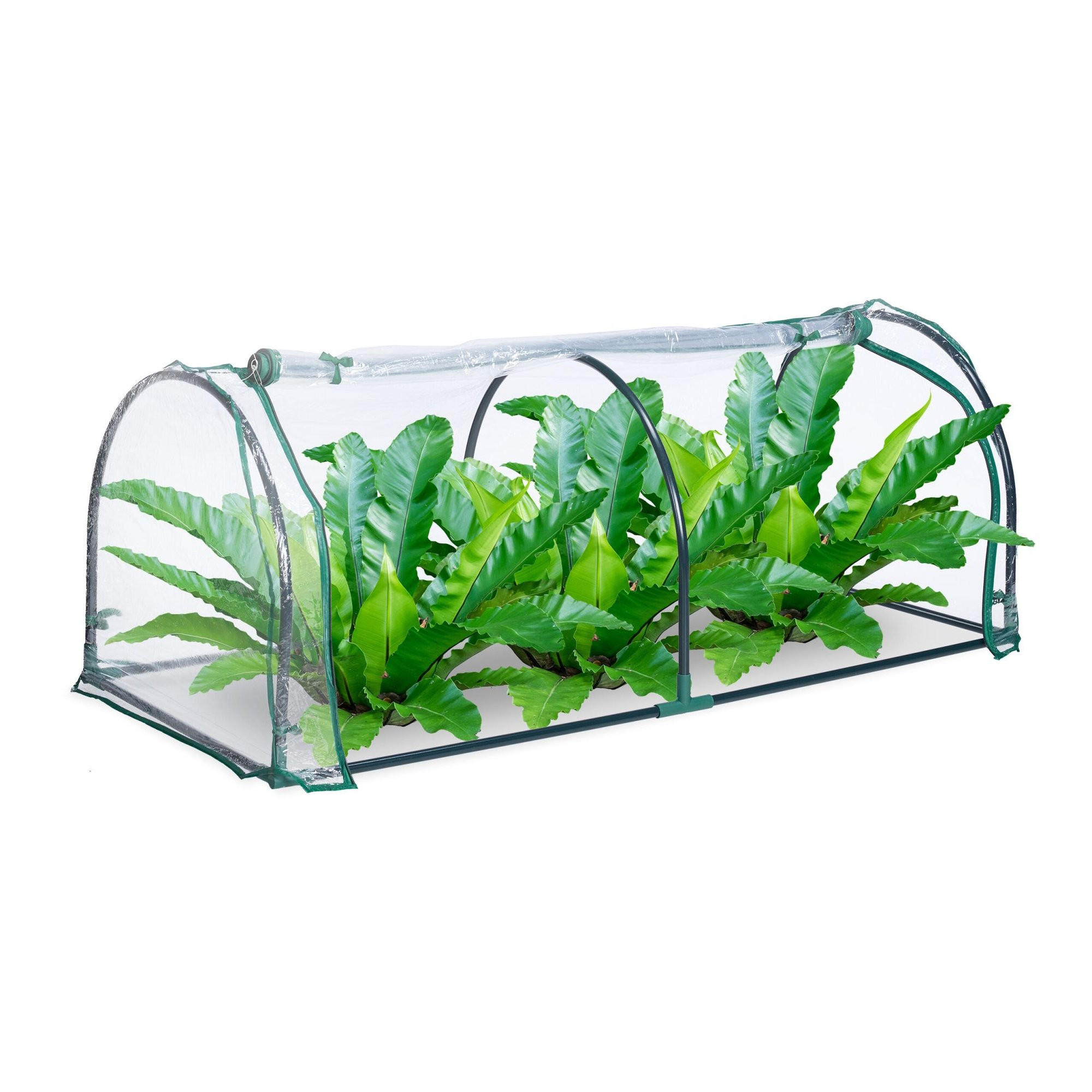Plastic tuinkas tent