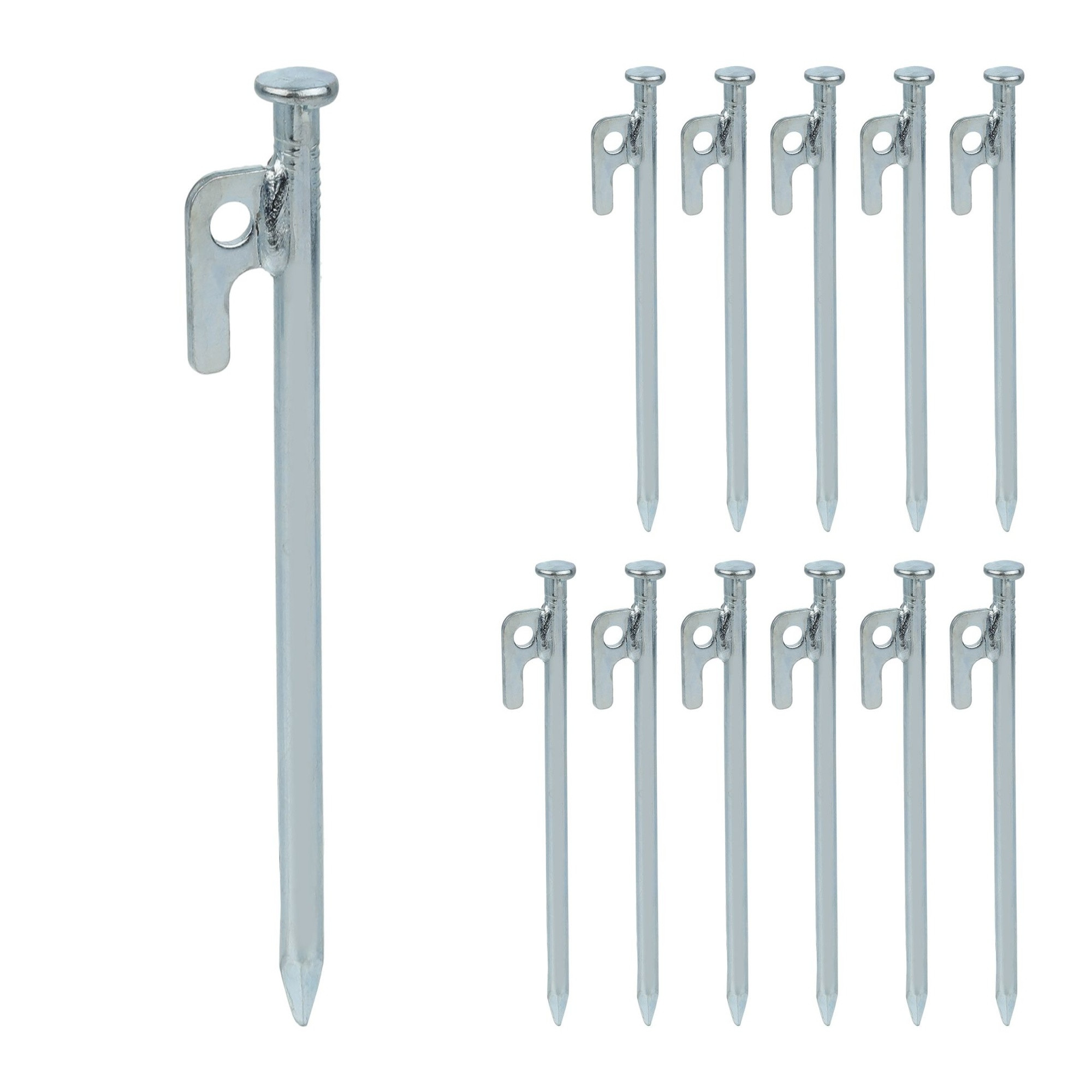 20 cm tentharingen set van 12