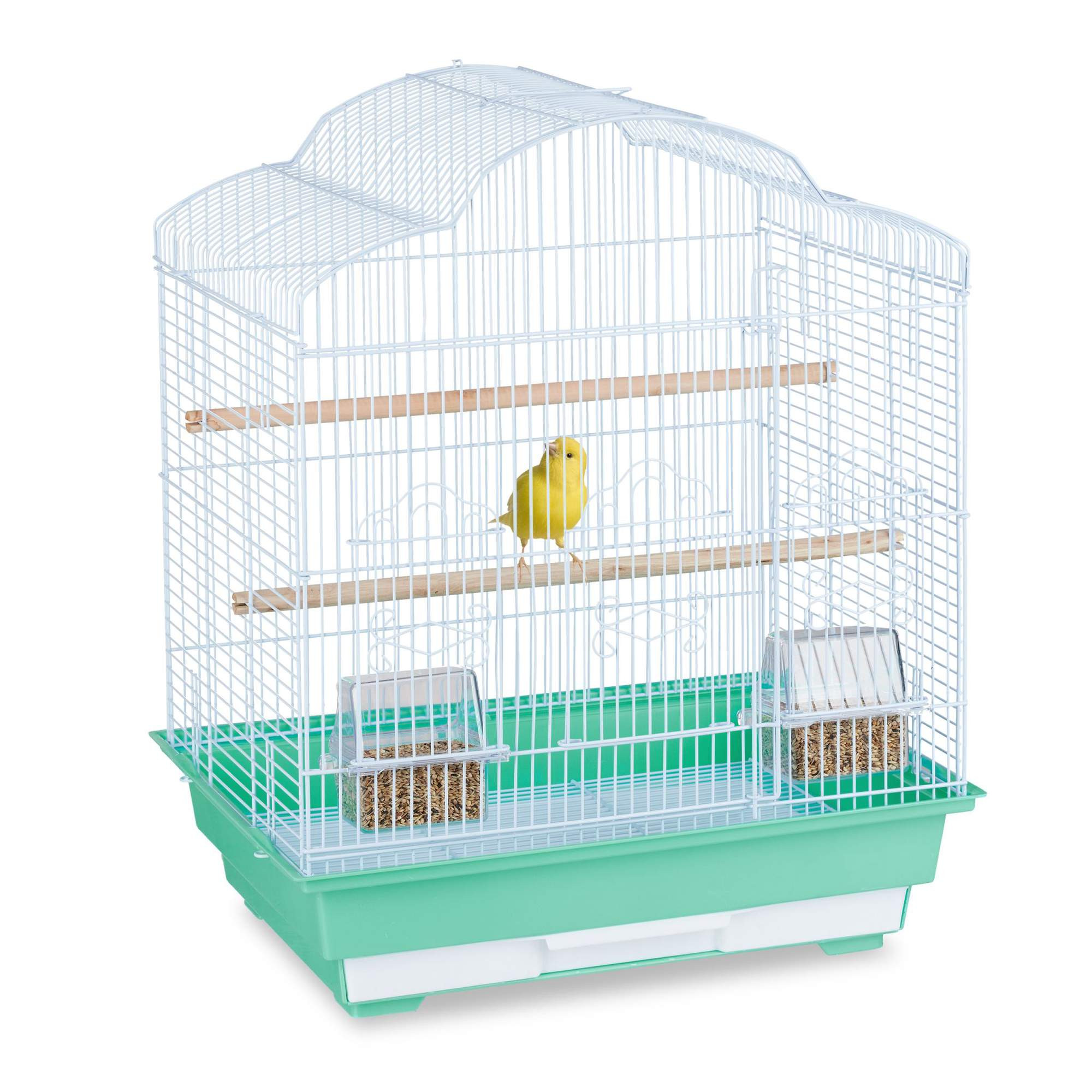 Cage à oiseaux avec accessoires