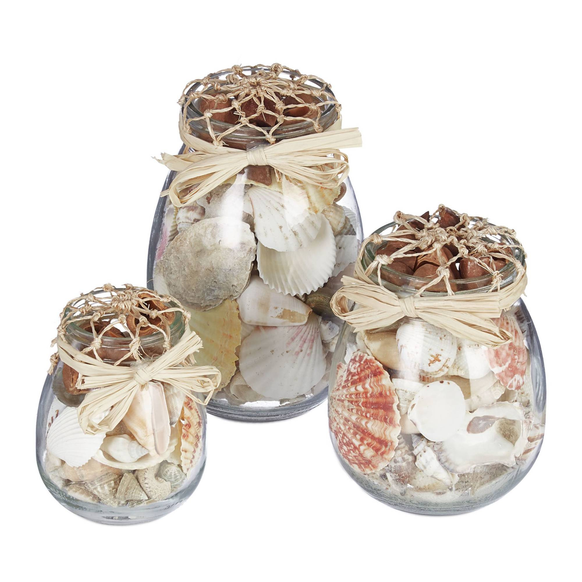 Conjunto de 3 potes de conchas