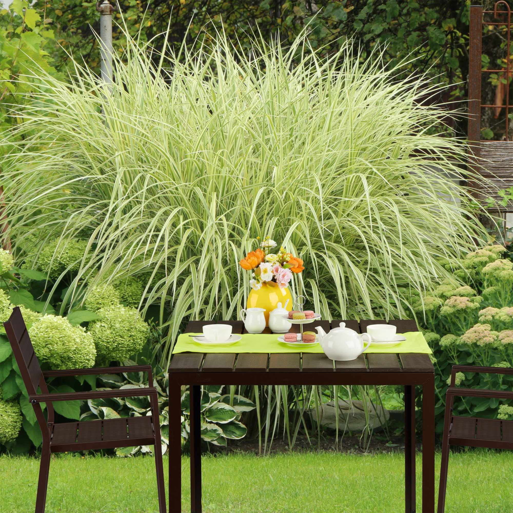 Table de jardin carrée effet bois