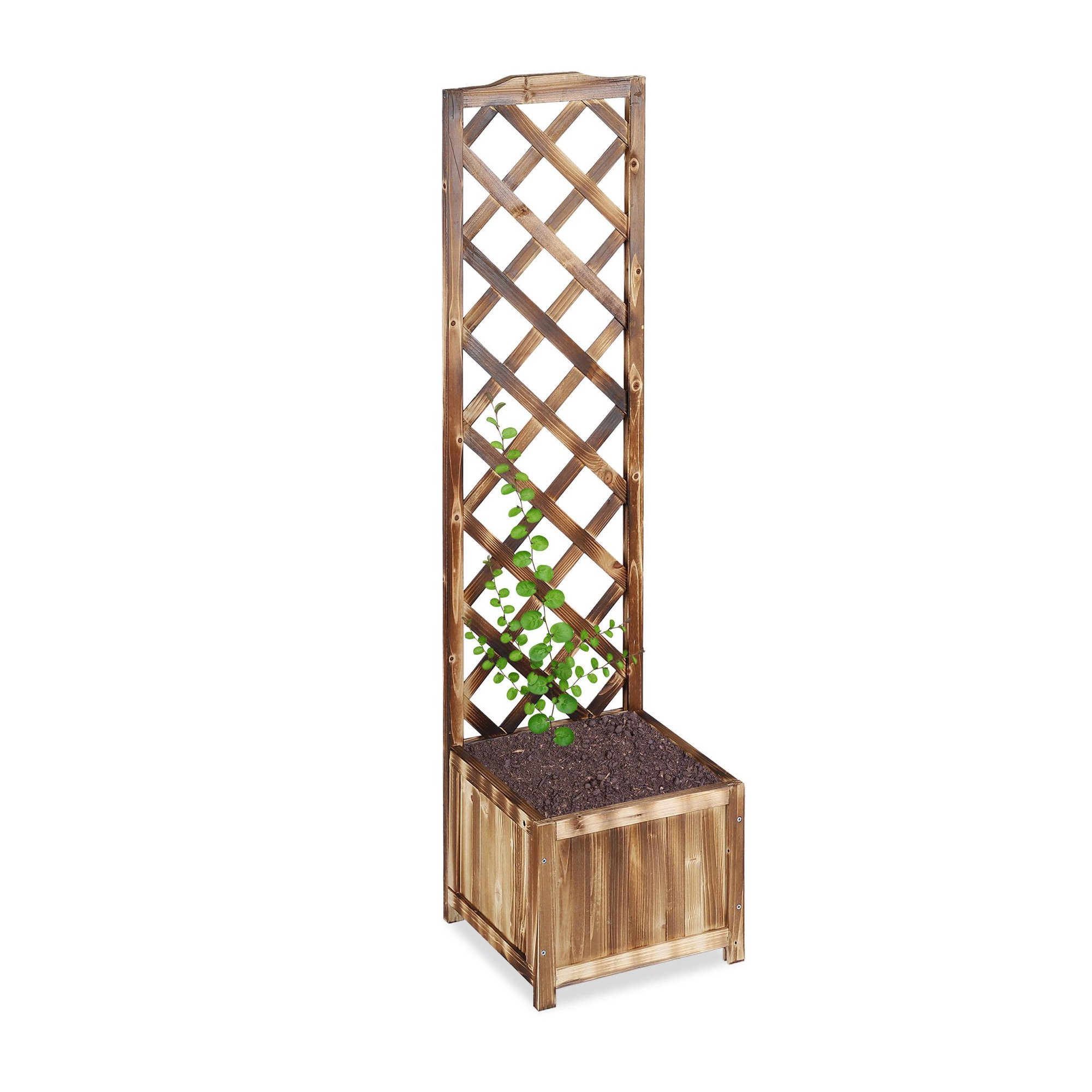 Flamed Planter Box s Trellis