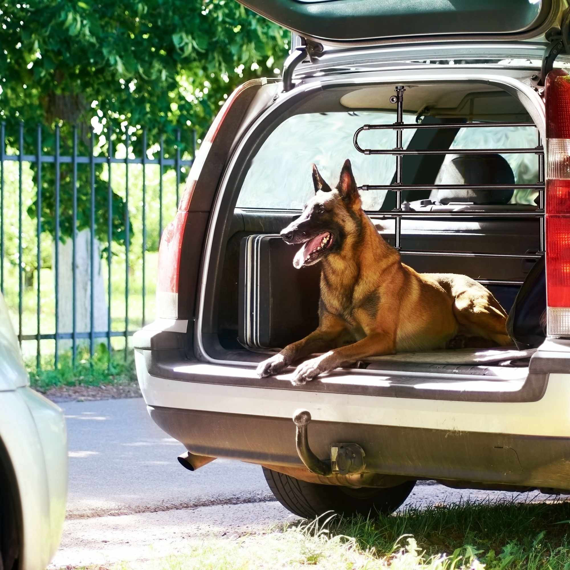 Coche de guardia para perros