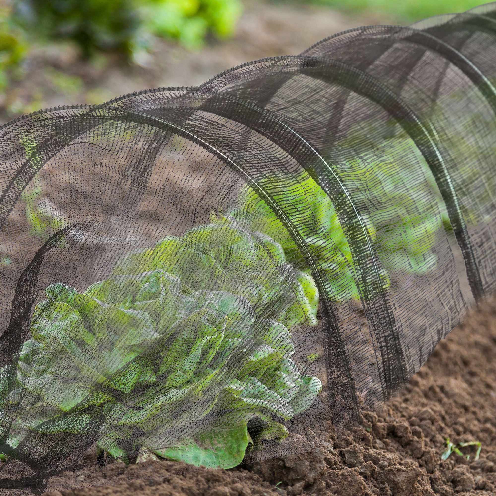 Mesh-Tunnel-Garten