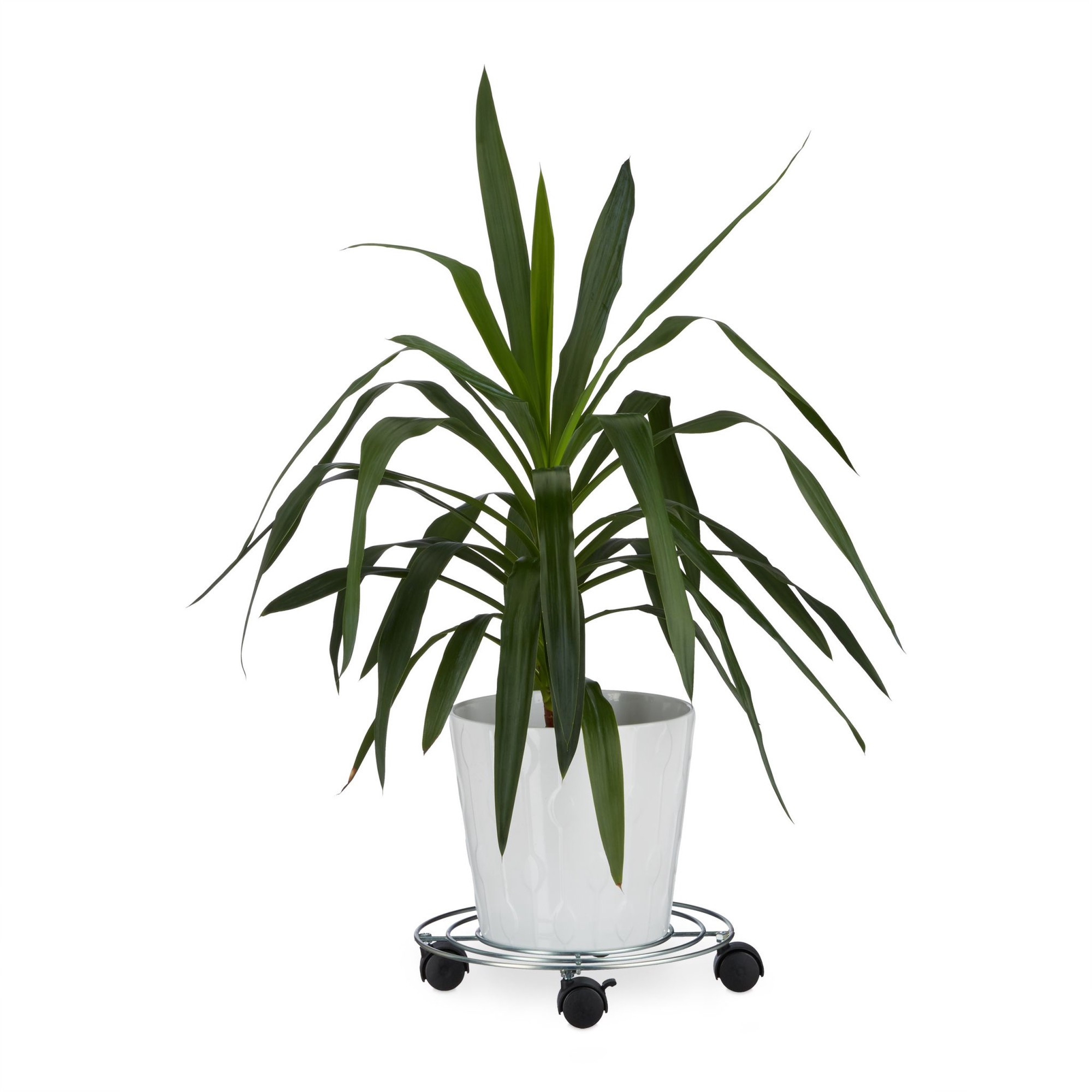 Rolo de planta com freio