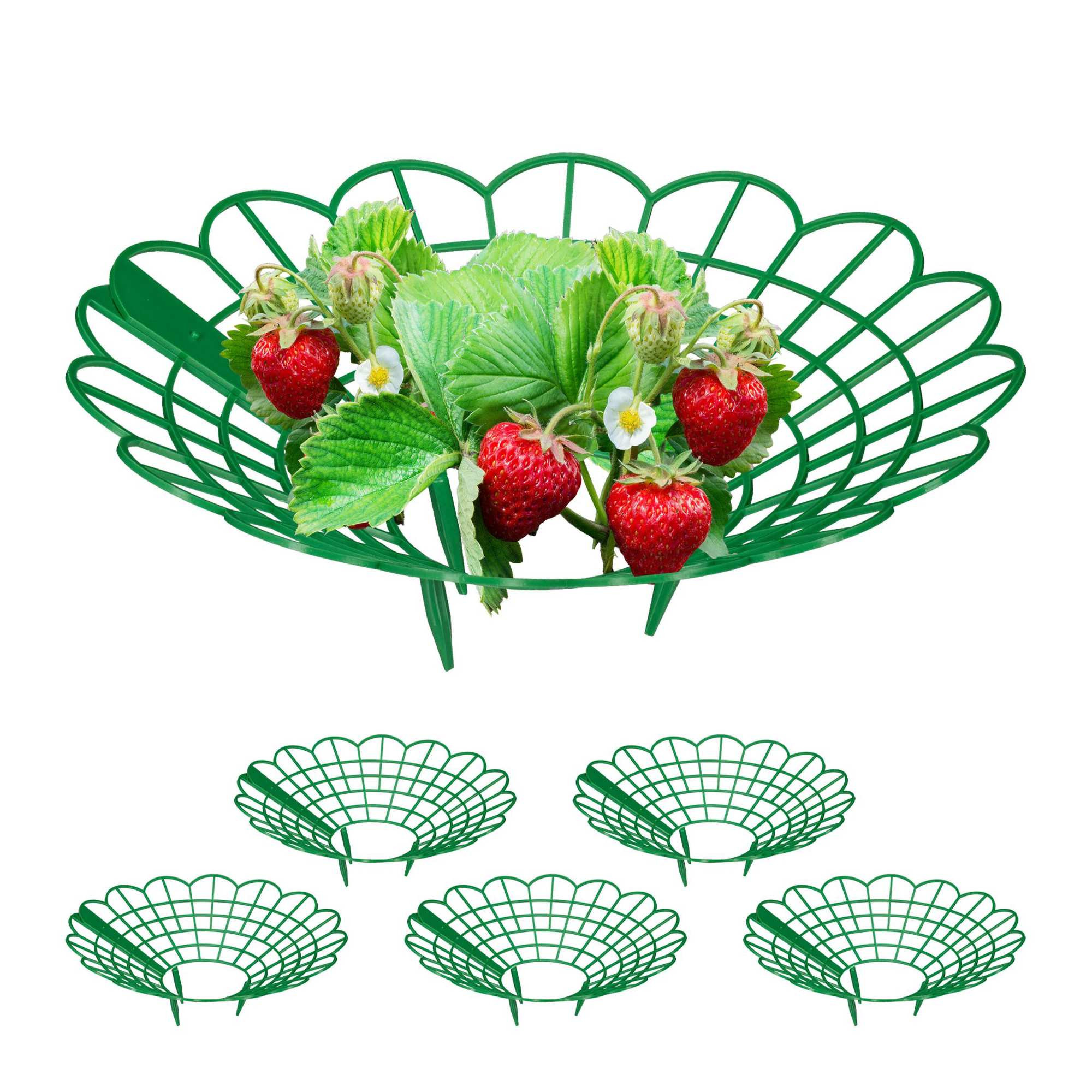 Support à fraises dans un ensemble