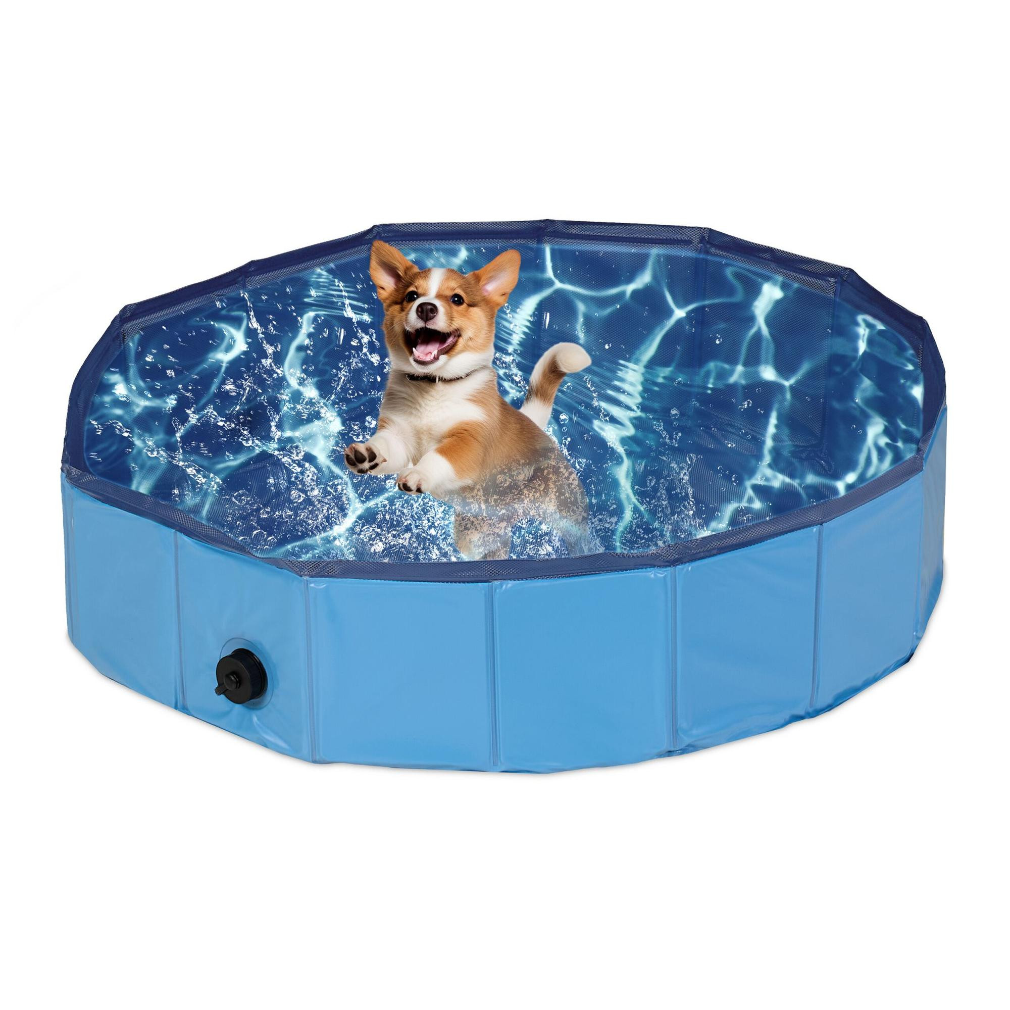 Piscina per cani blu