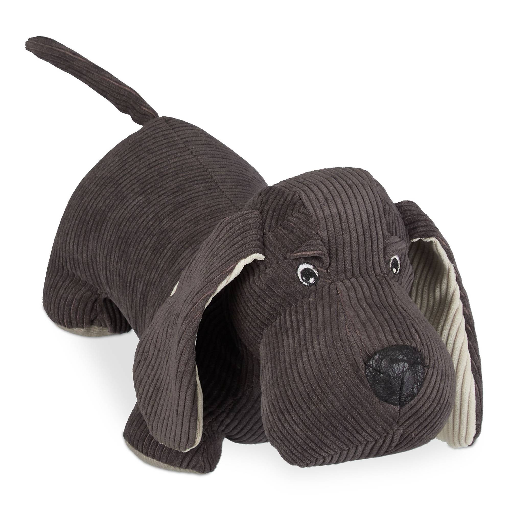 Cane fermaporta