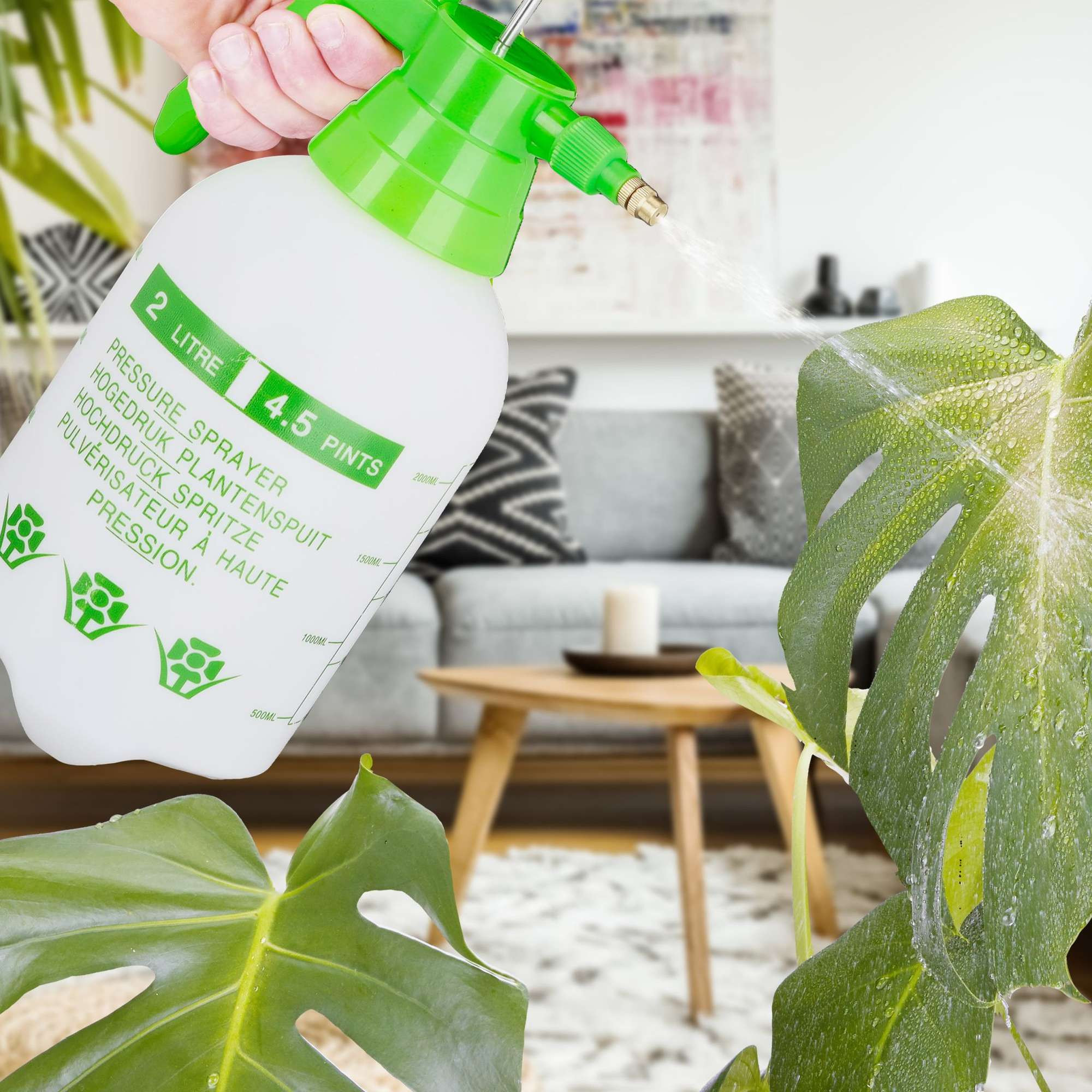 Drucksprüher 2 Liter grün