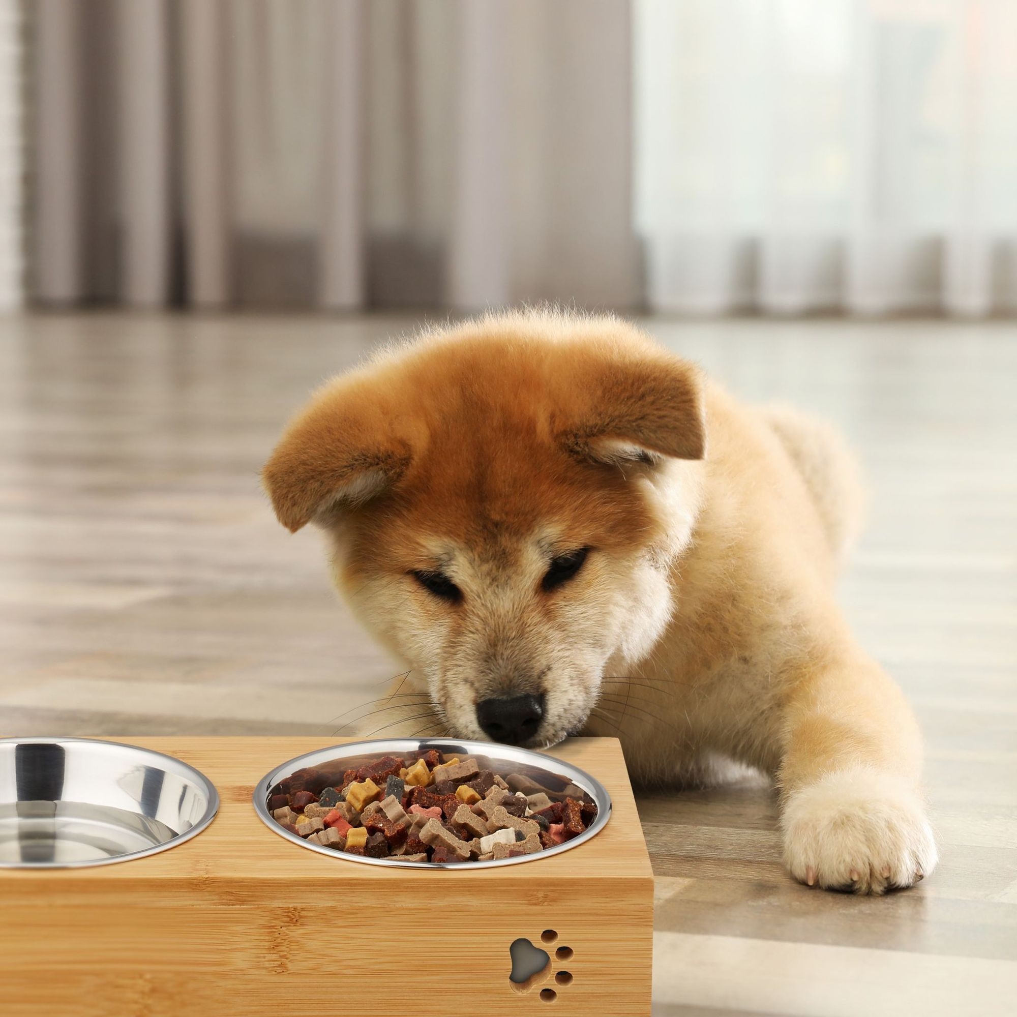 Comederos para perros