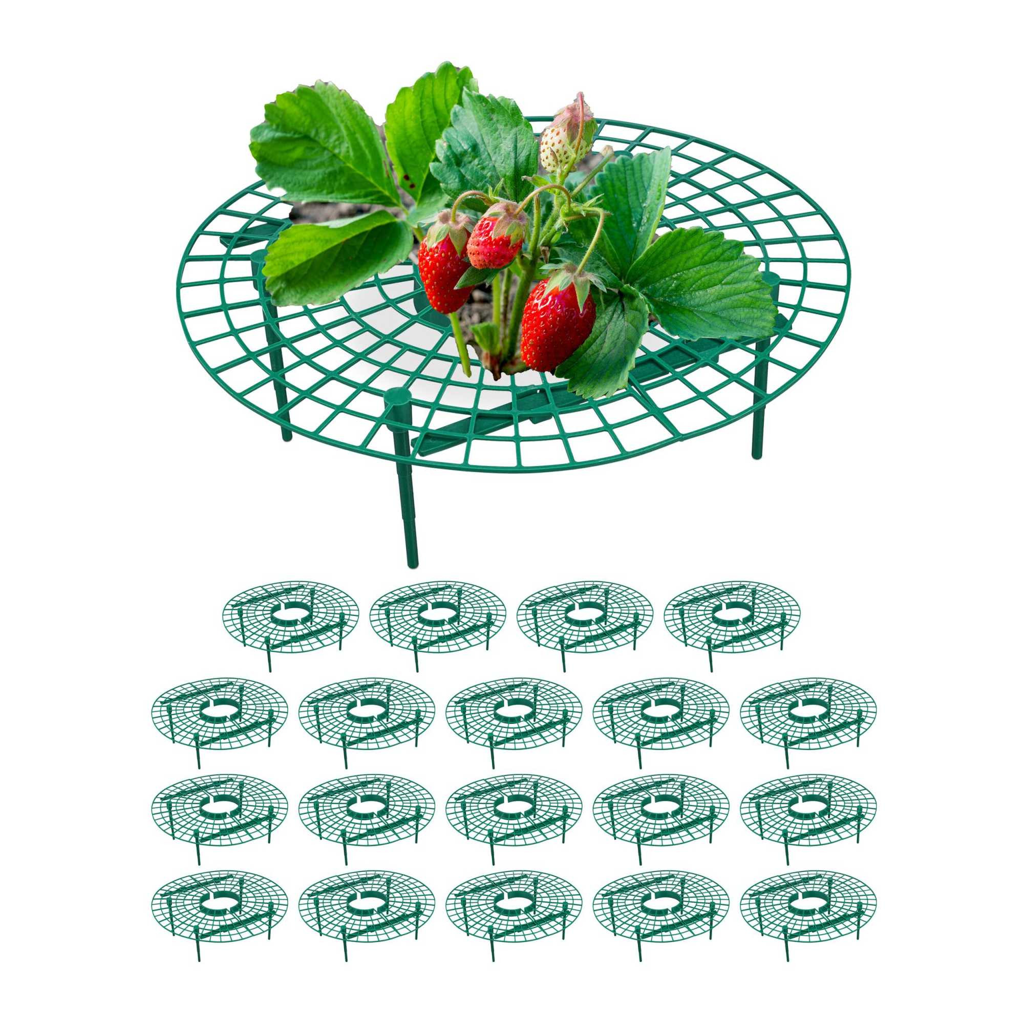 Taglia fragole, 20 pezzi