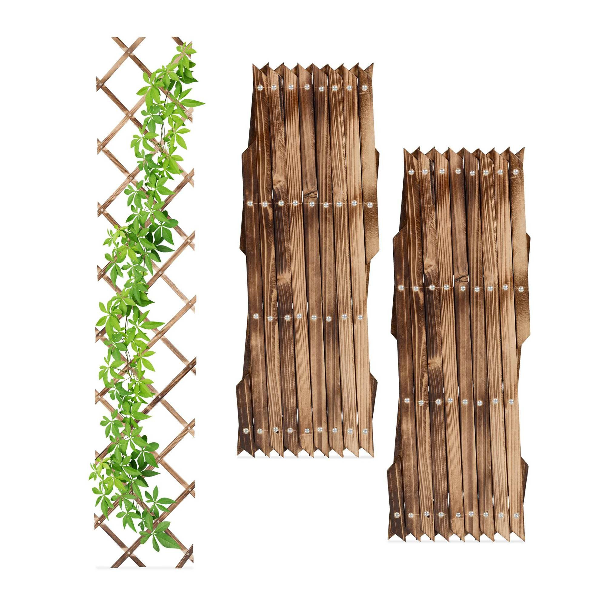 Uitschuifbaar trellis van hout, set van 3