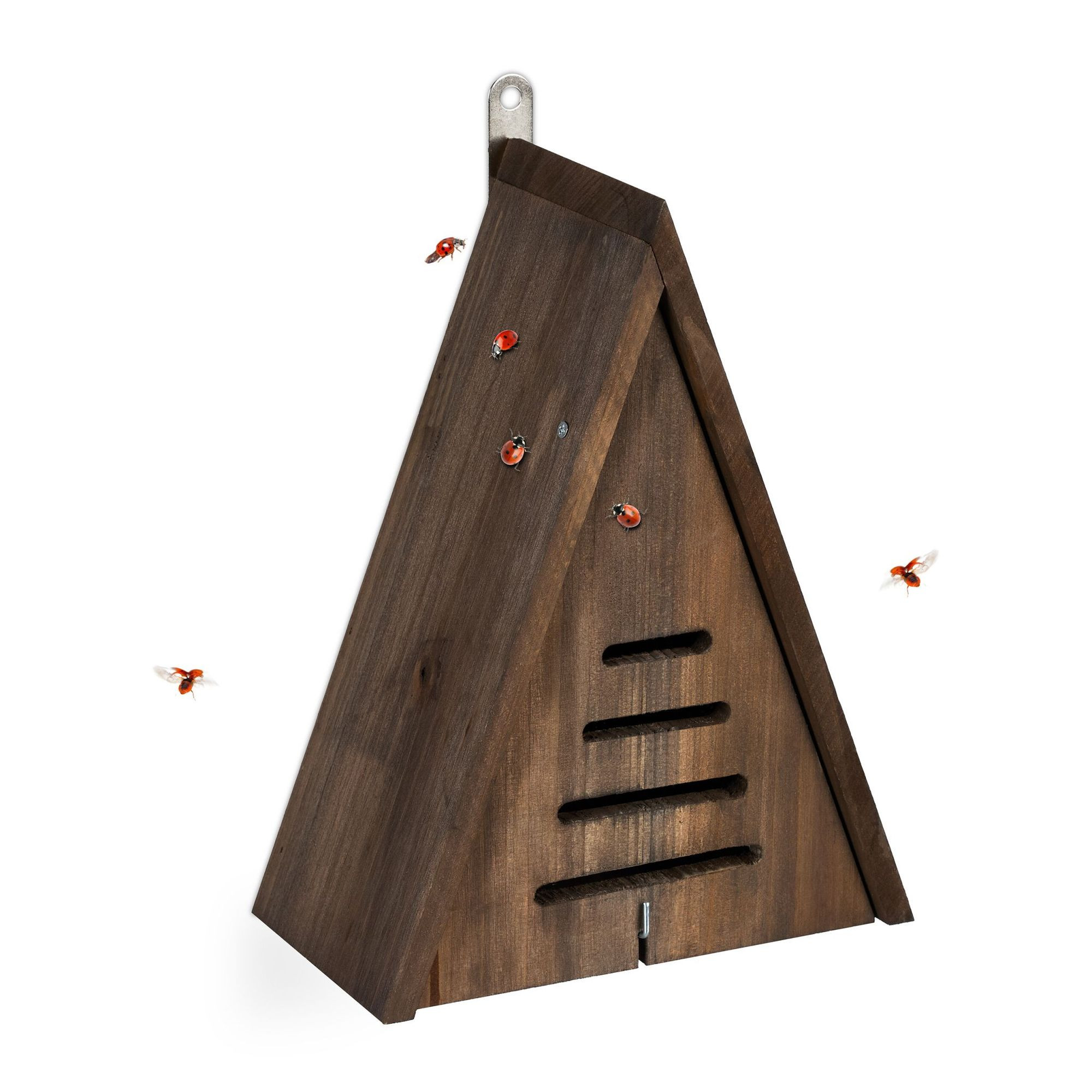 Casa triangular de joaninha