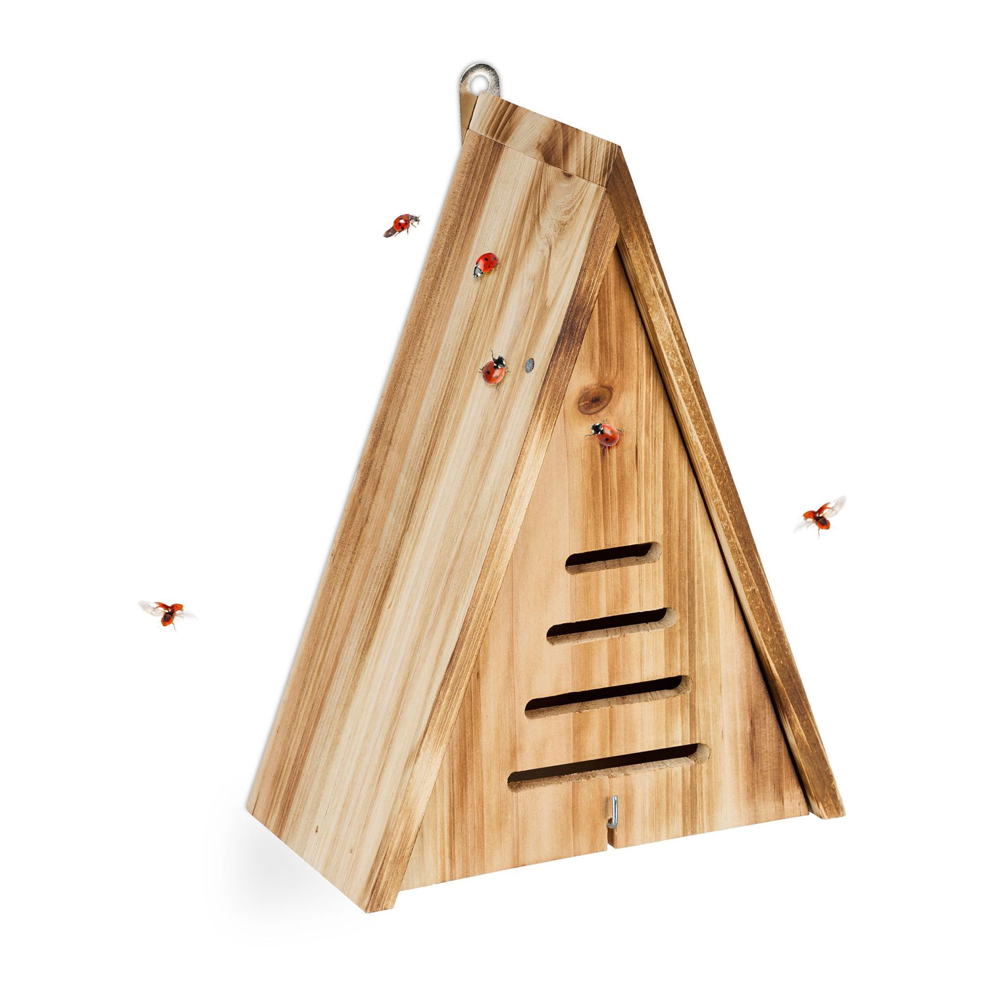 Casa triangular para mariquitas