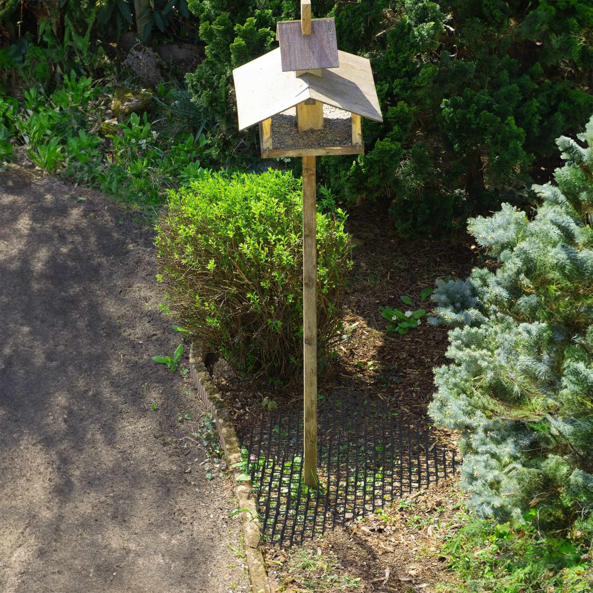 Ensemble de 12 grilles d'épines