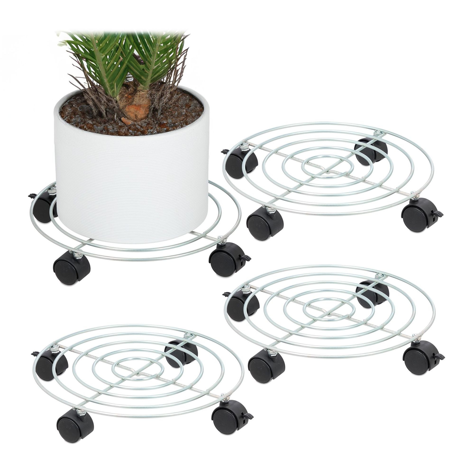 Ensemble de 4 choix de plantes