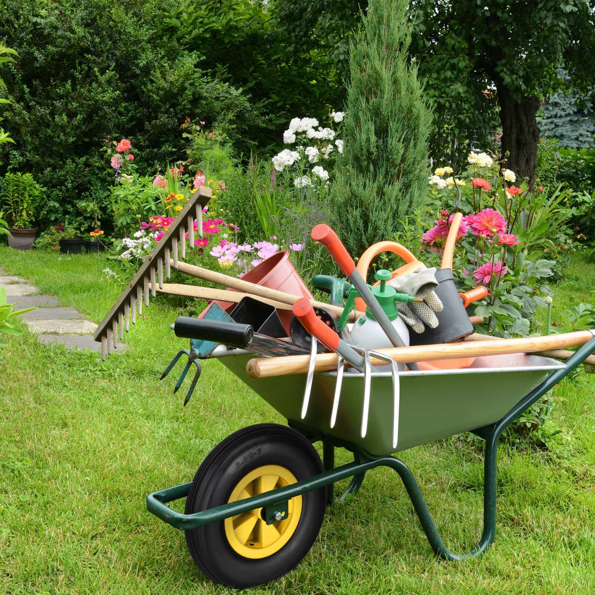 Roue pour brouette 3.50-6