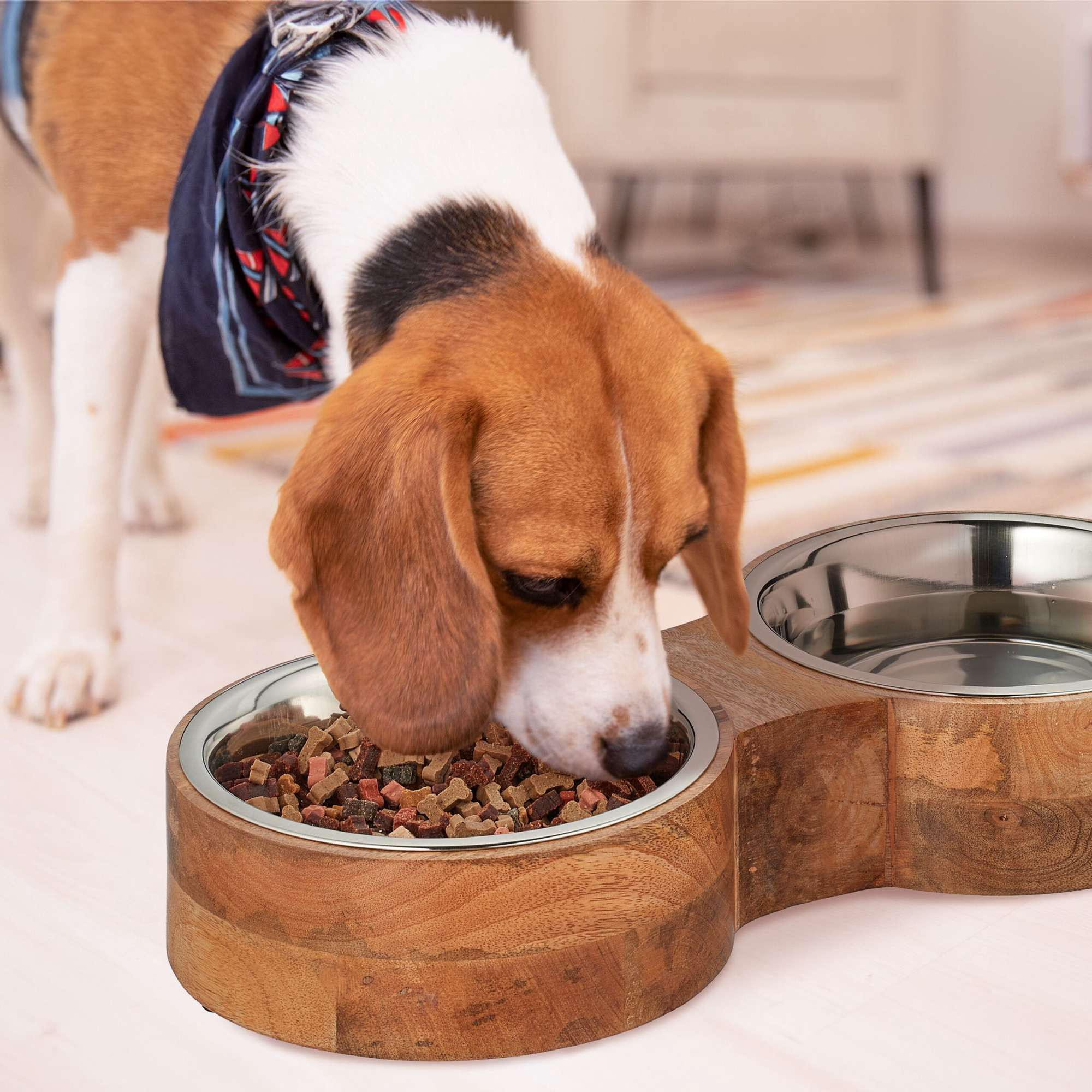 Barra de tigelas para cães com 2 tigelas