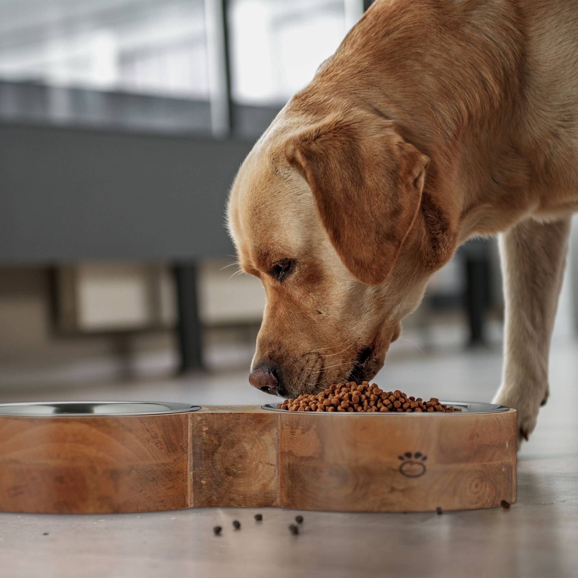 Barra de tigelas para cães com 2 tigelas