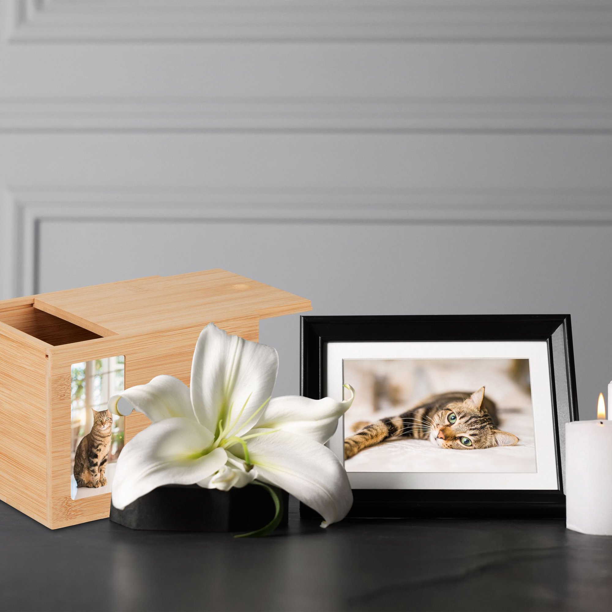 Urna de bambu para animais de estimação