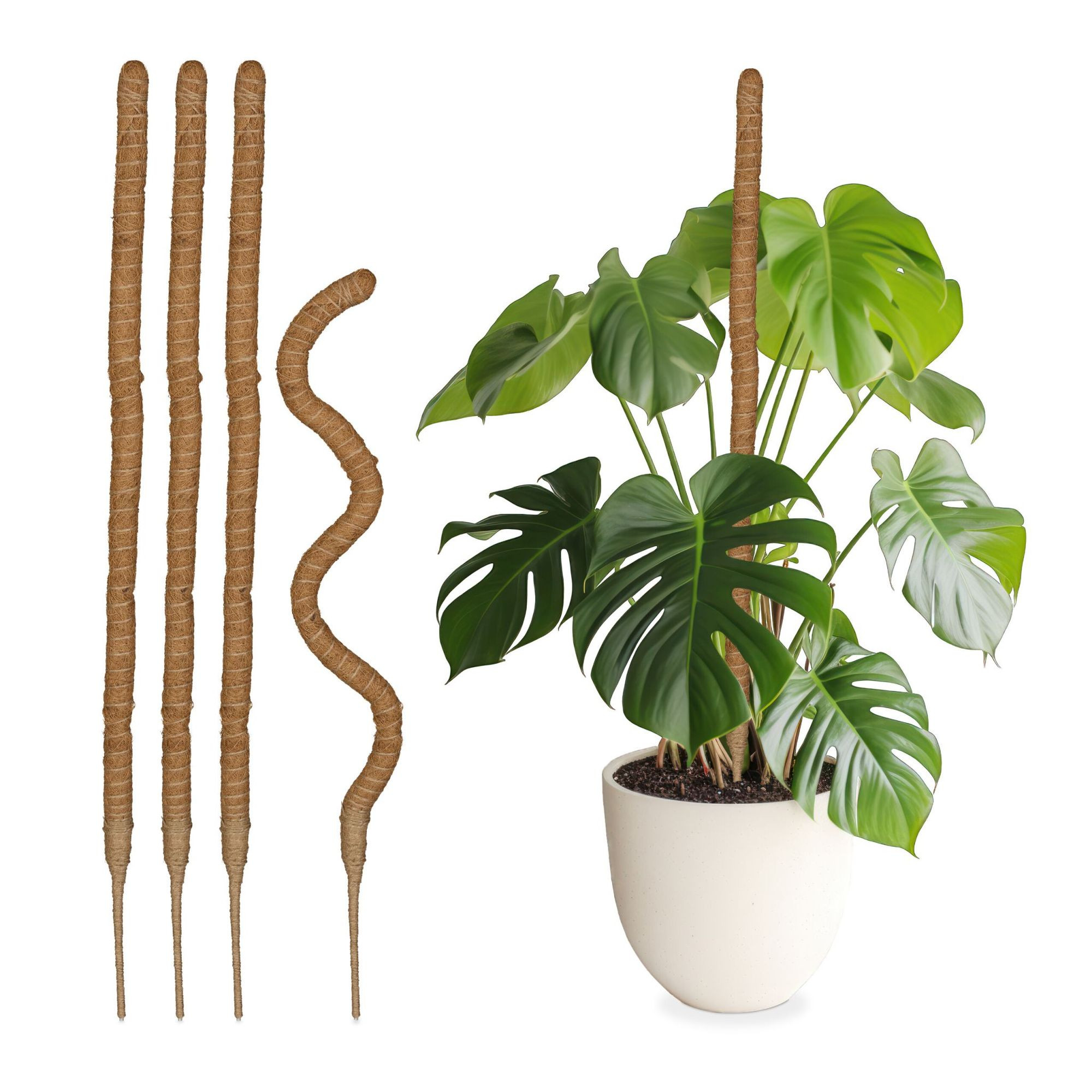 conjunto de 5 palitos de coco 90 cm