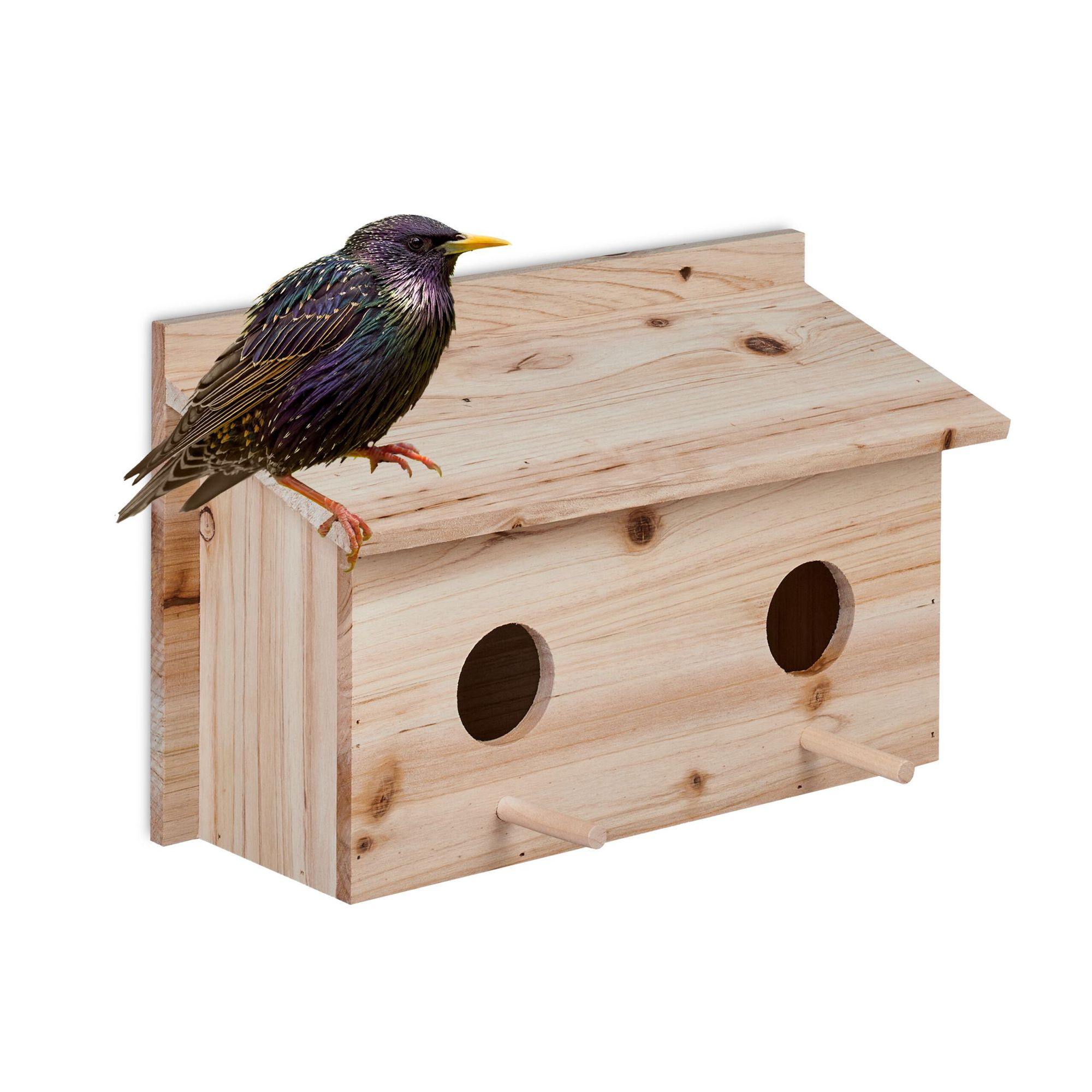 Gniazdo szpaków