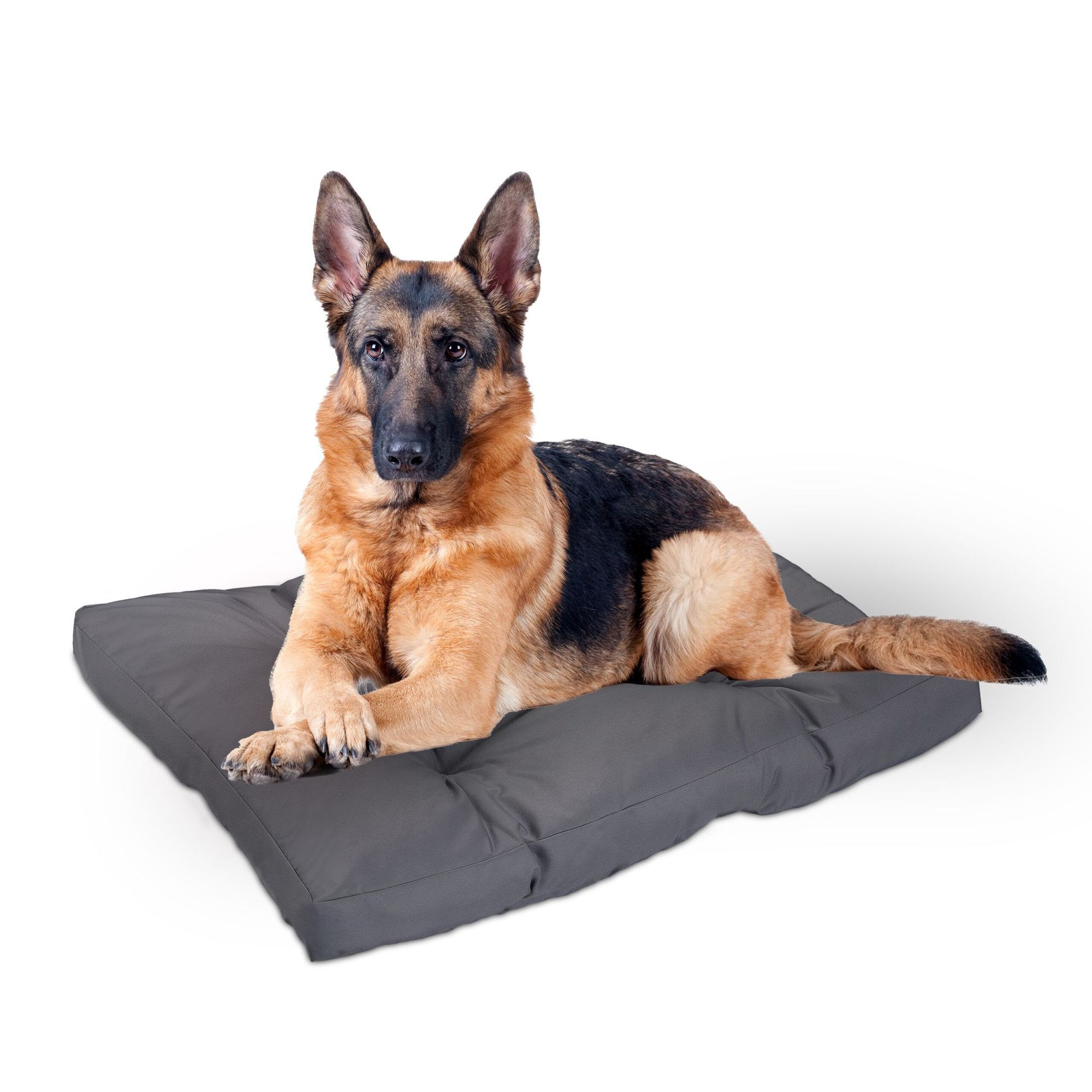 Cama para perros gris