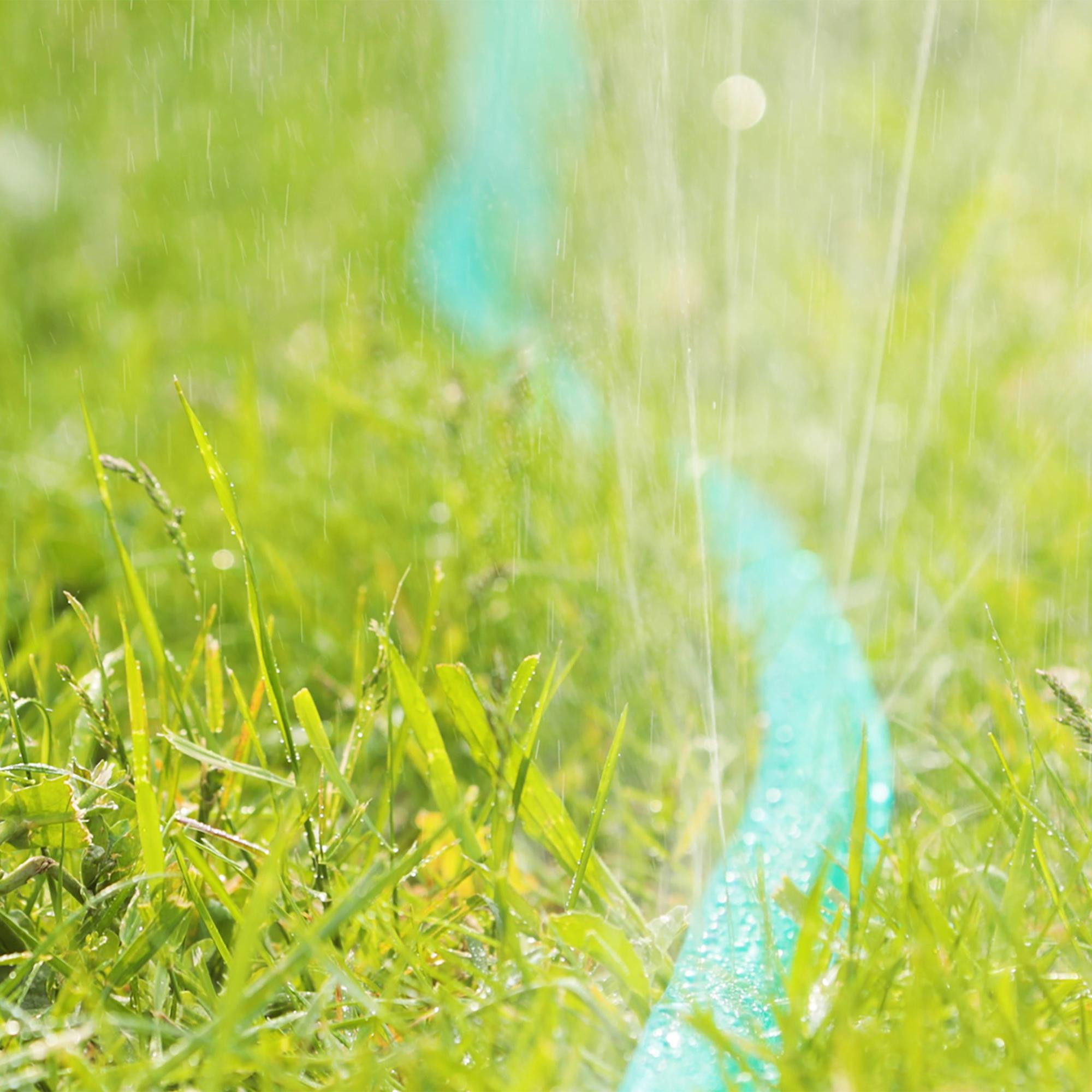 Flat irrigation hose 5 m